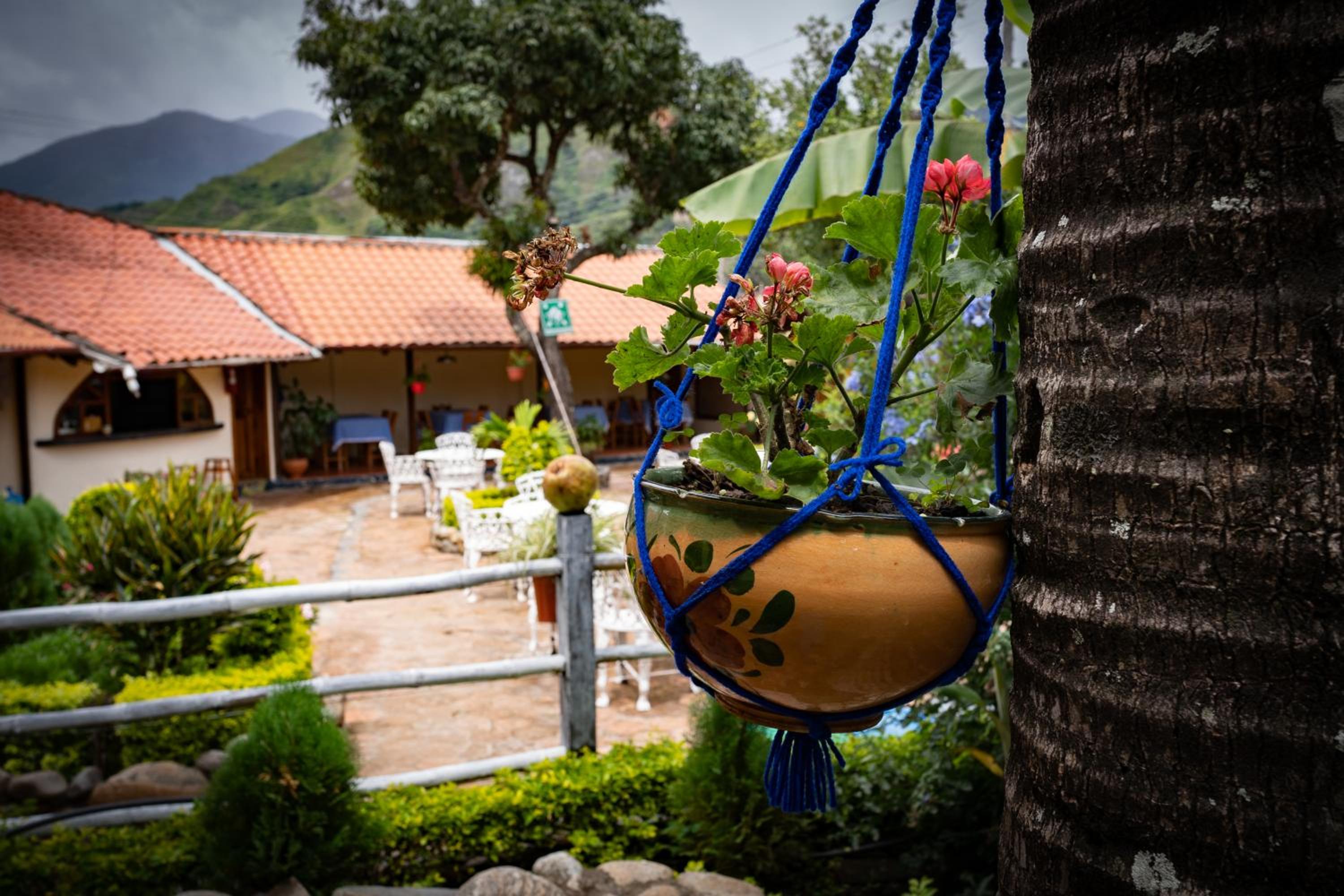 Hostal Jardín Escondido view 2