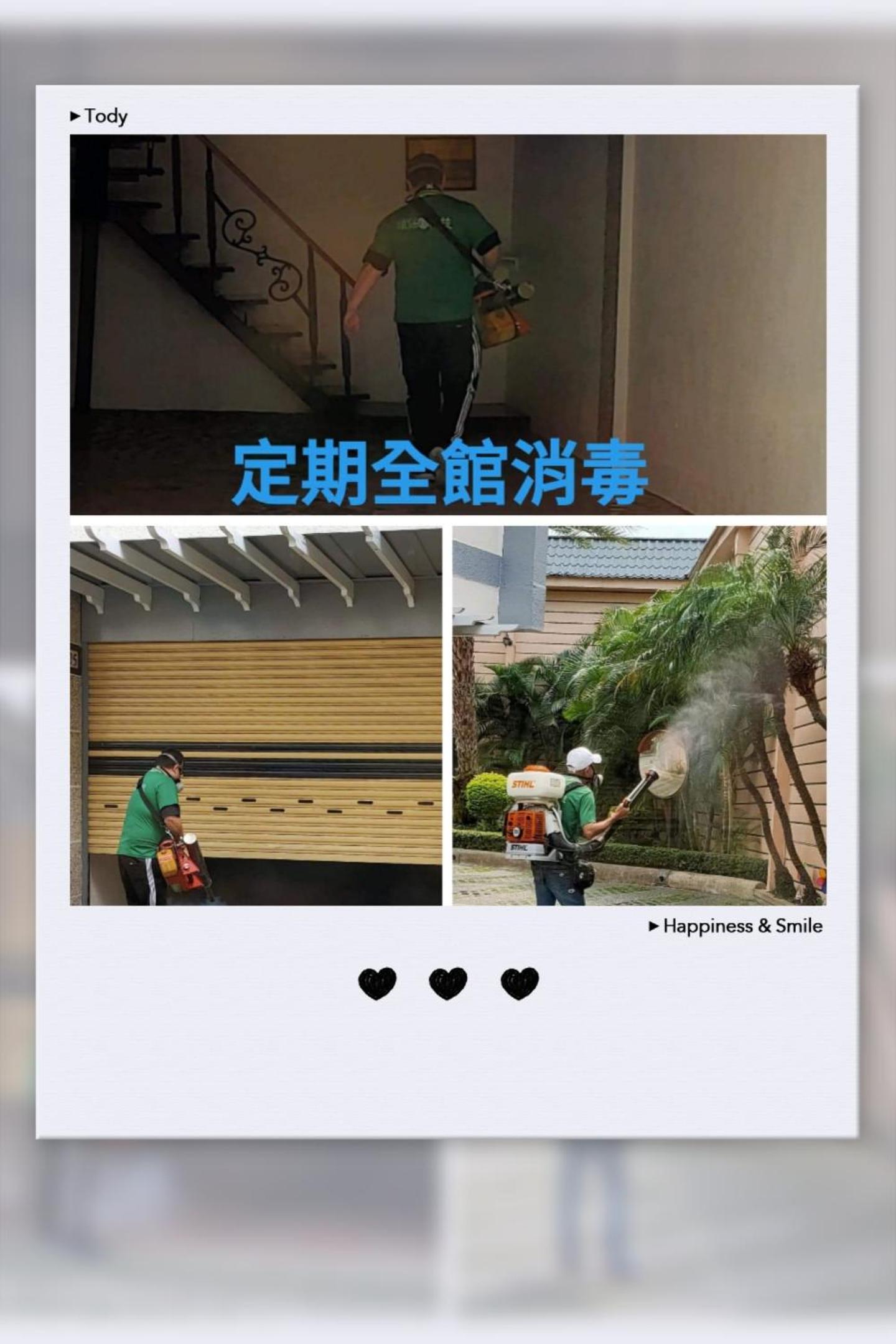 human