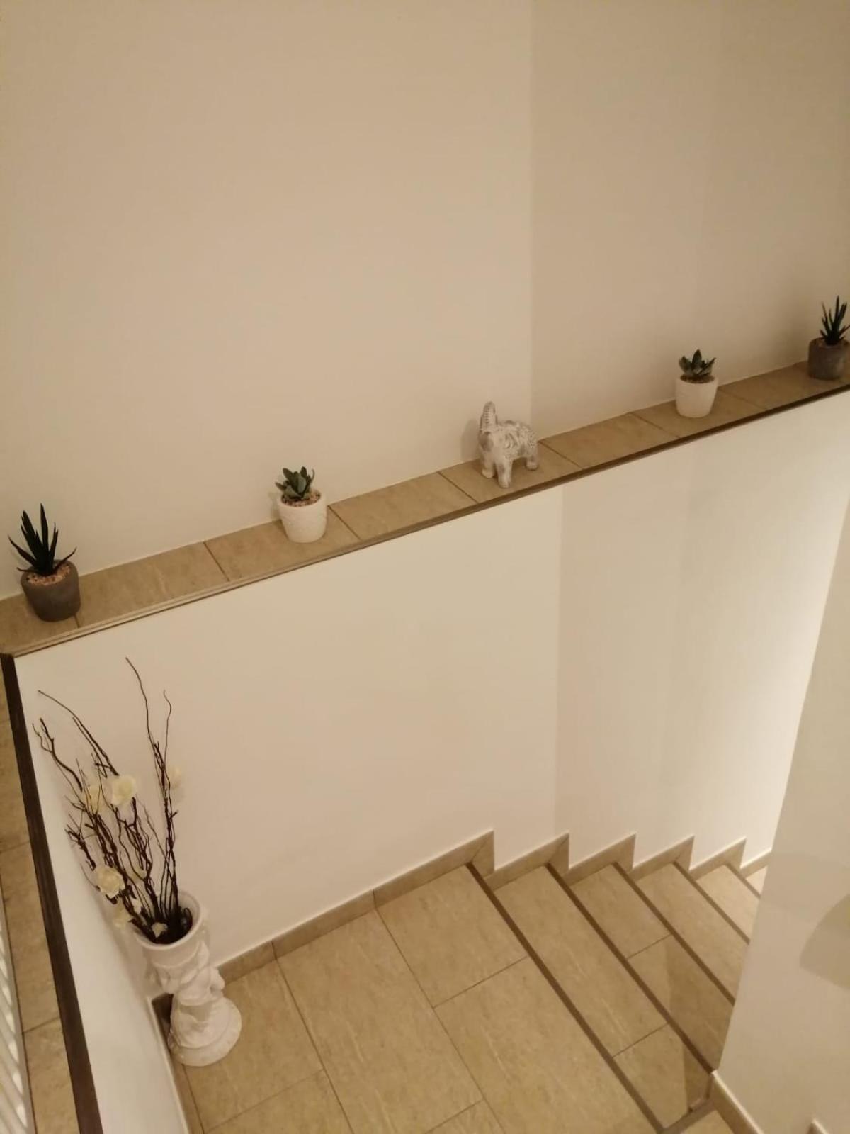 Cazare REGIM HÔTELIER ZĂRNEŞTI view 5
