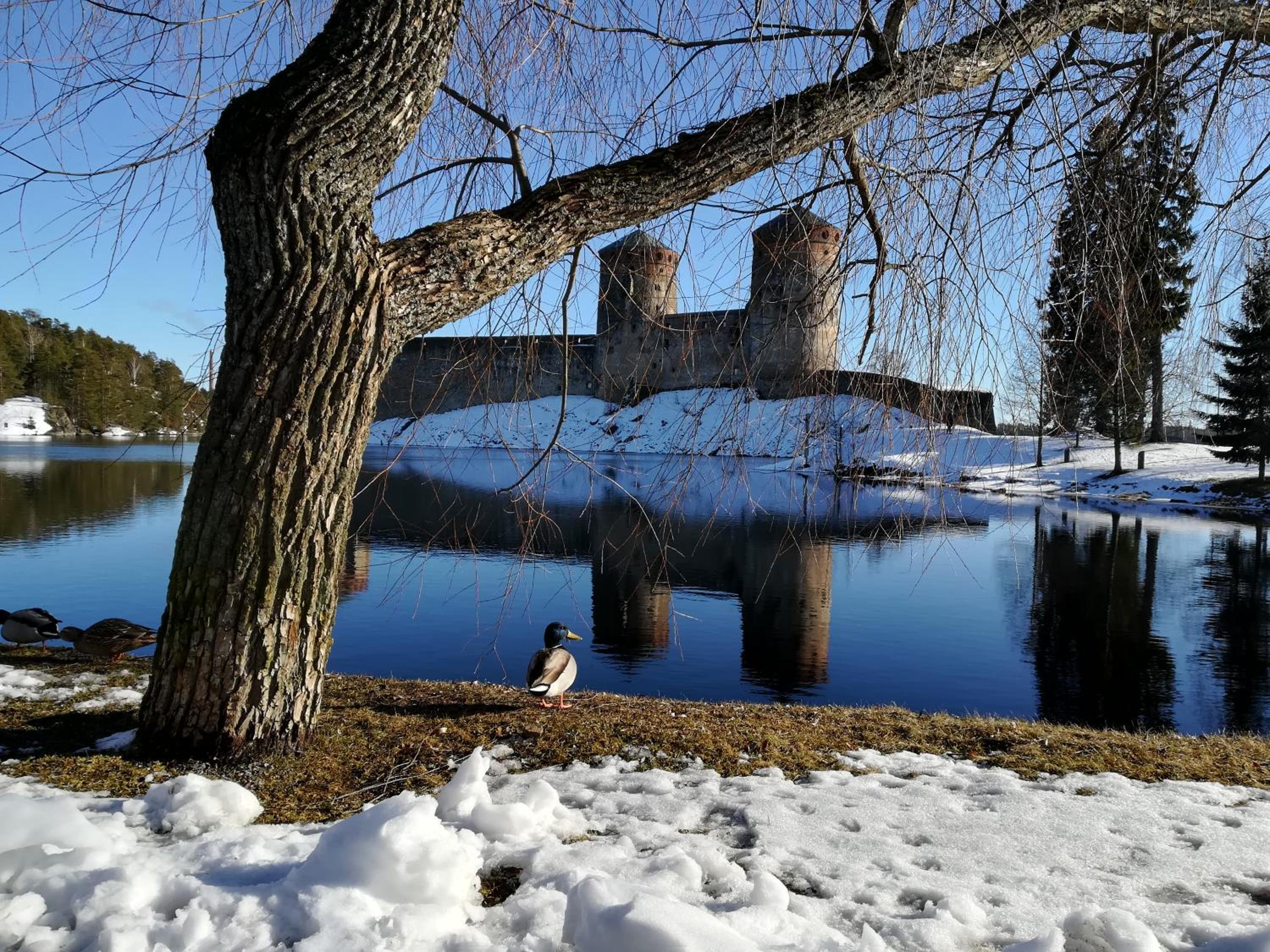 Savonlinna Rentals view 3
