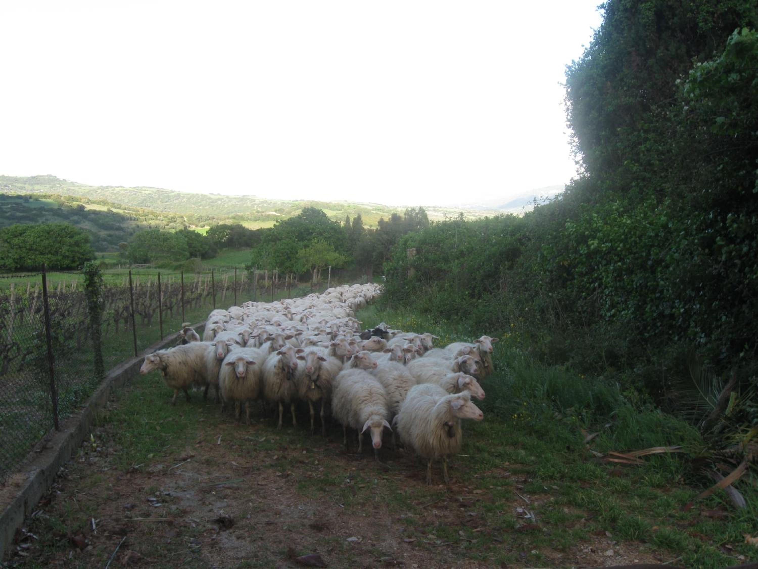 Photo 29