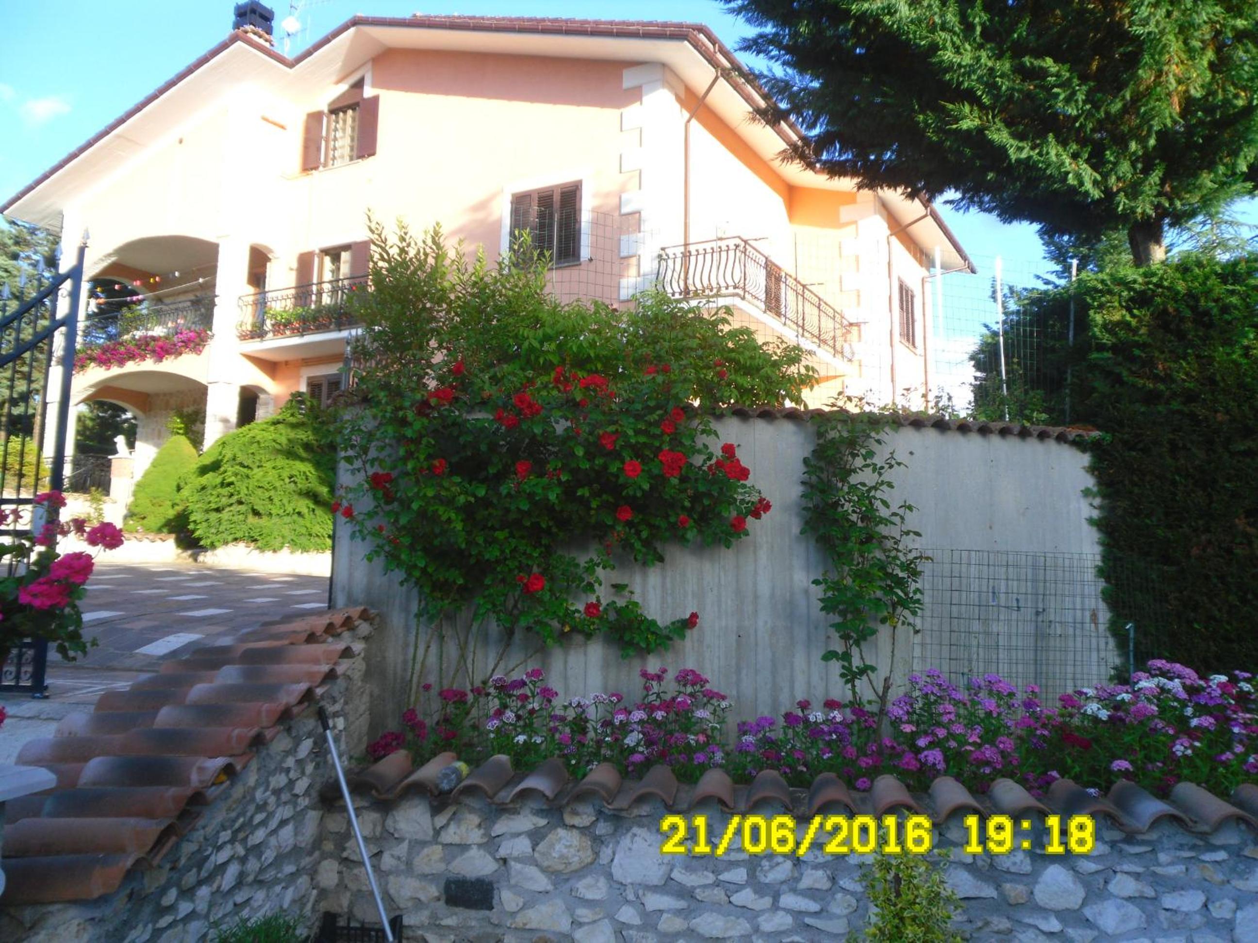 Photo 36