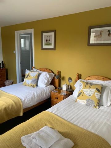 The Firs at Hay-on-Wye B&B 12