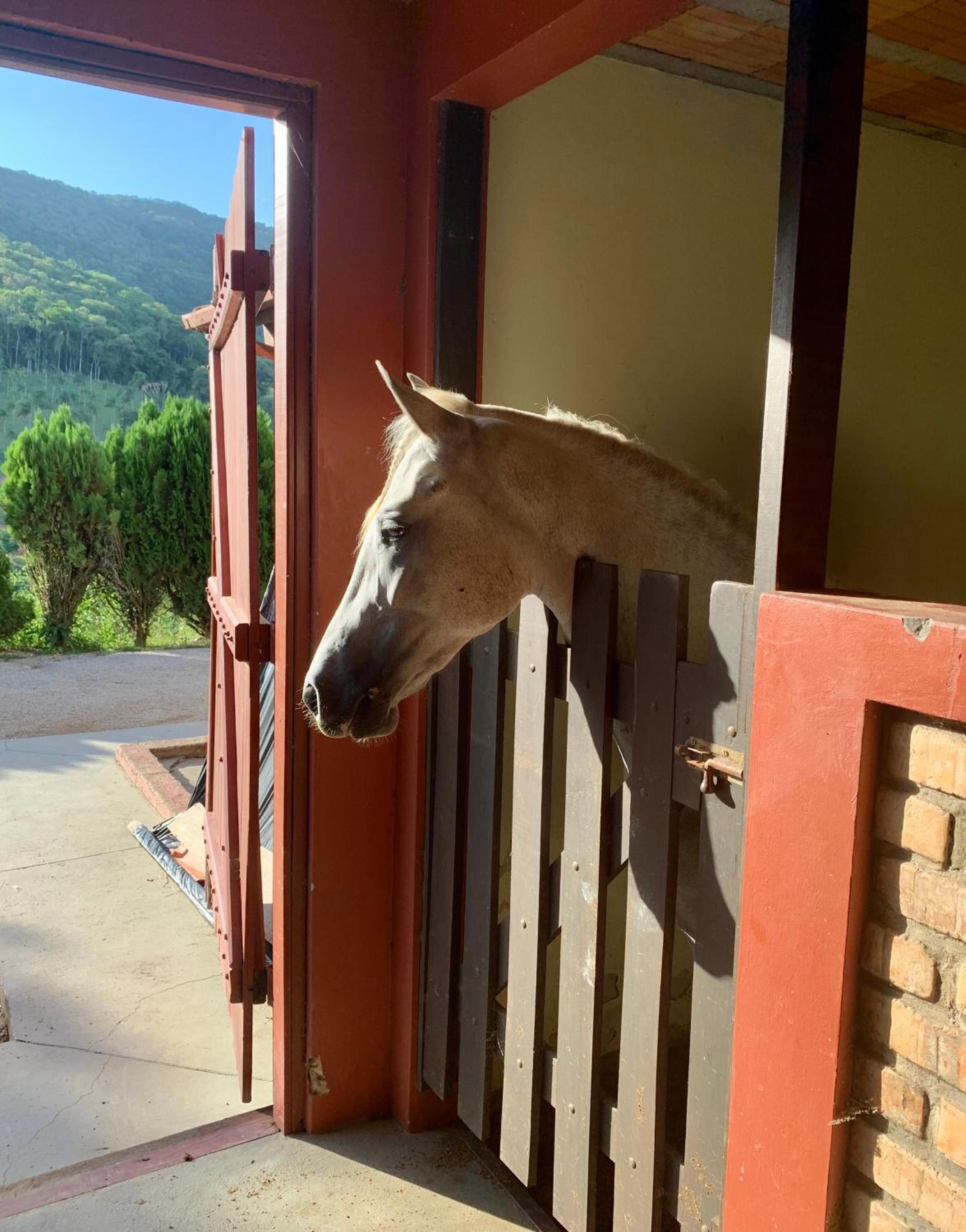 Haras Central do Marchador - Casa de campo