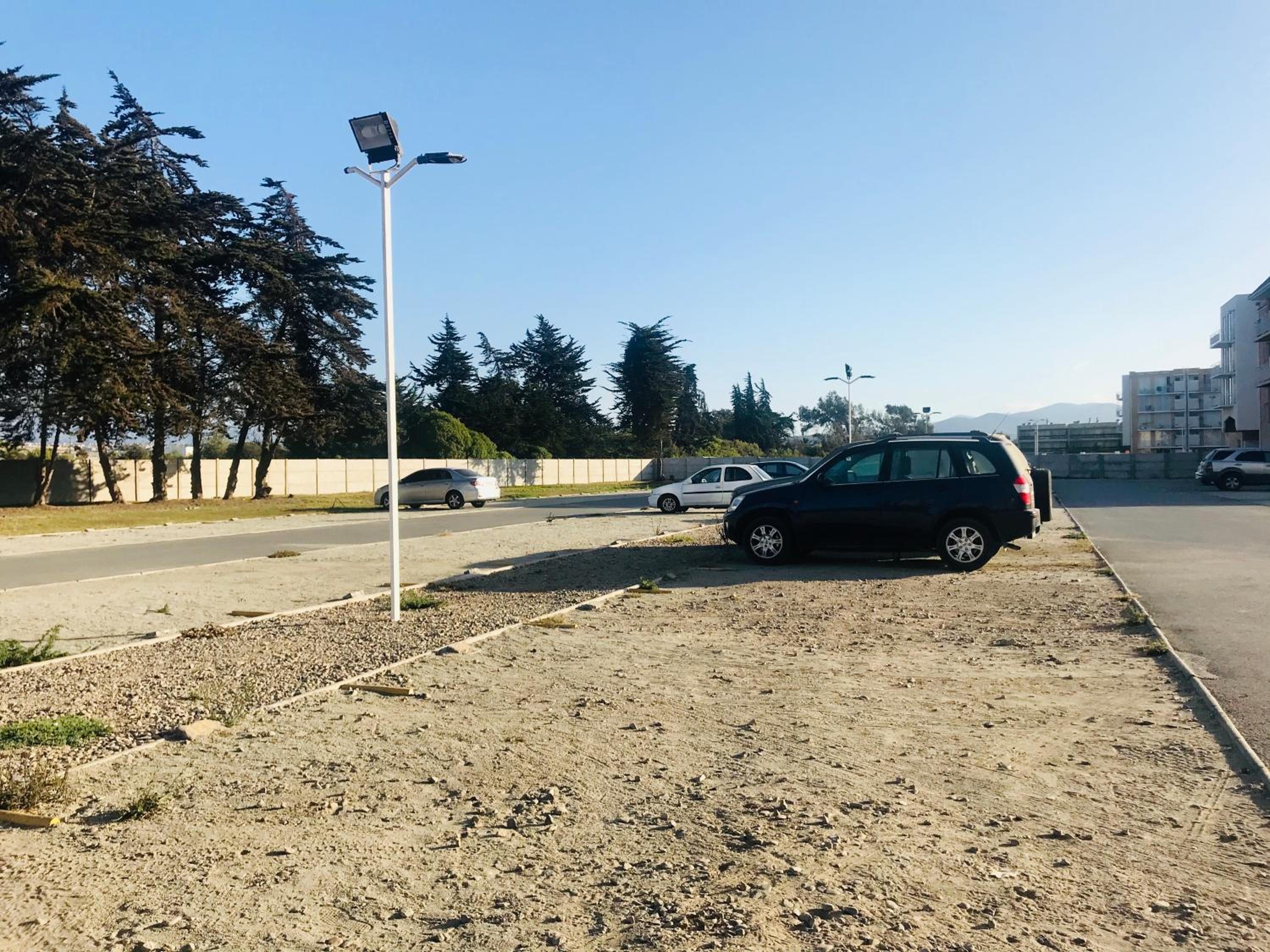 Cosmopolita Verde