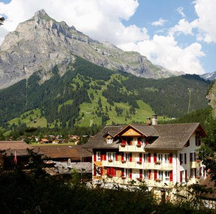 Hotel Des Alpes