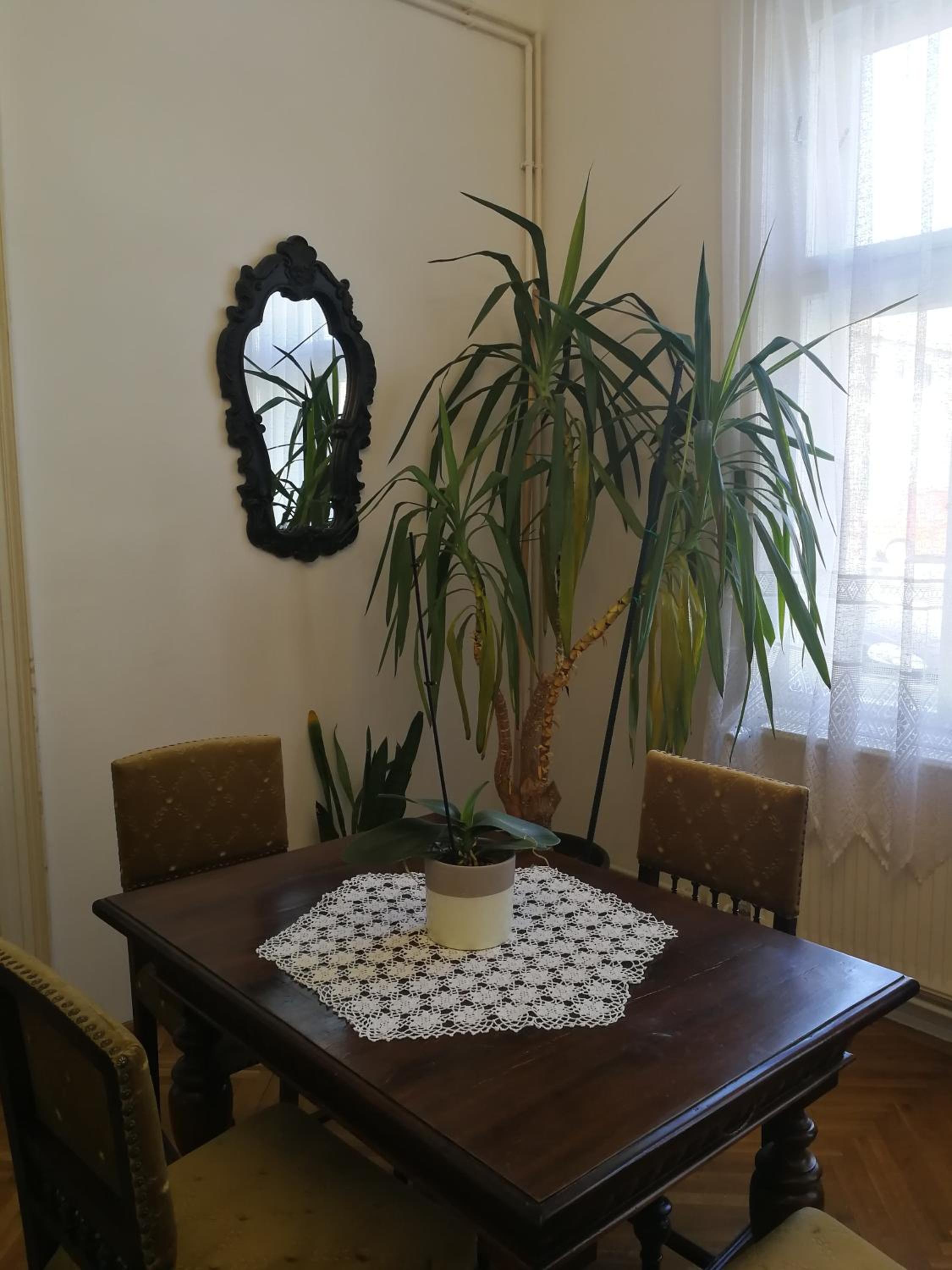 TulipánVendégház