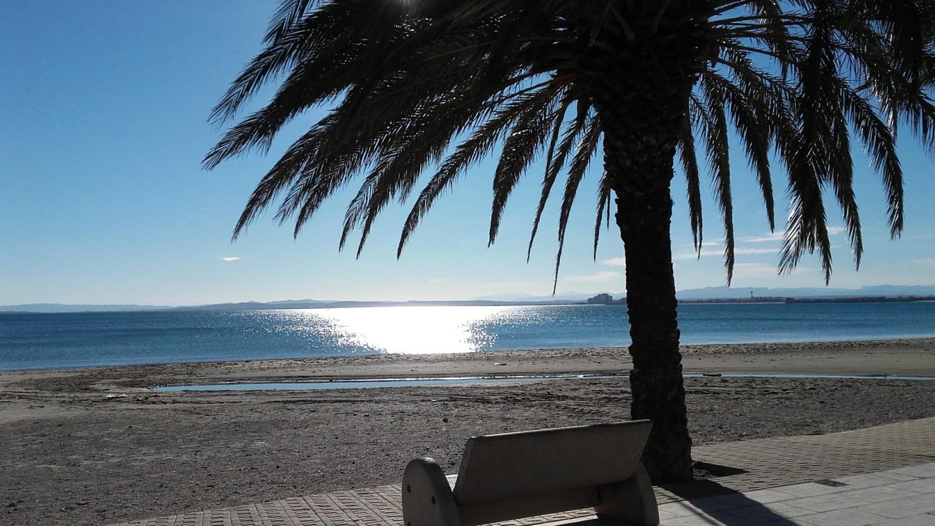 Appartement Première Ligne de mer avec piscine