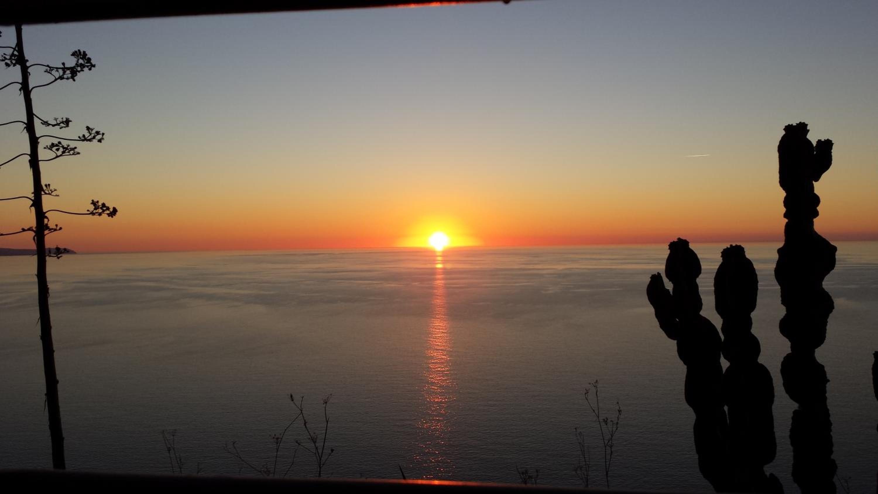 Casa vacanze "Gli Ulivi" Monolocale view 4