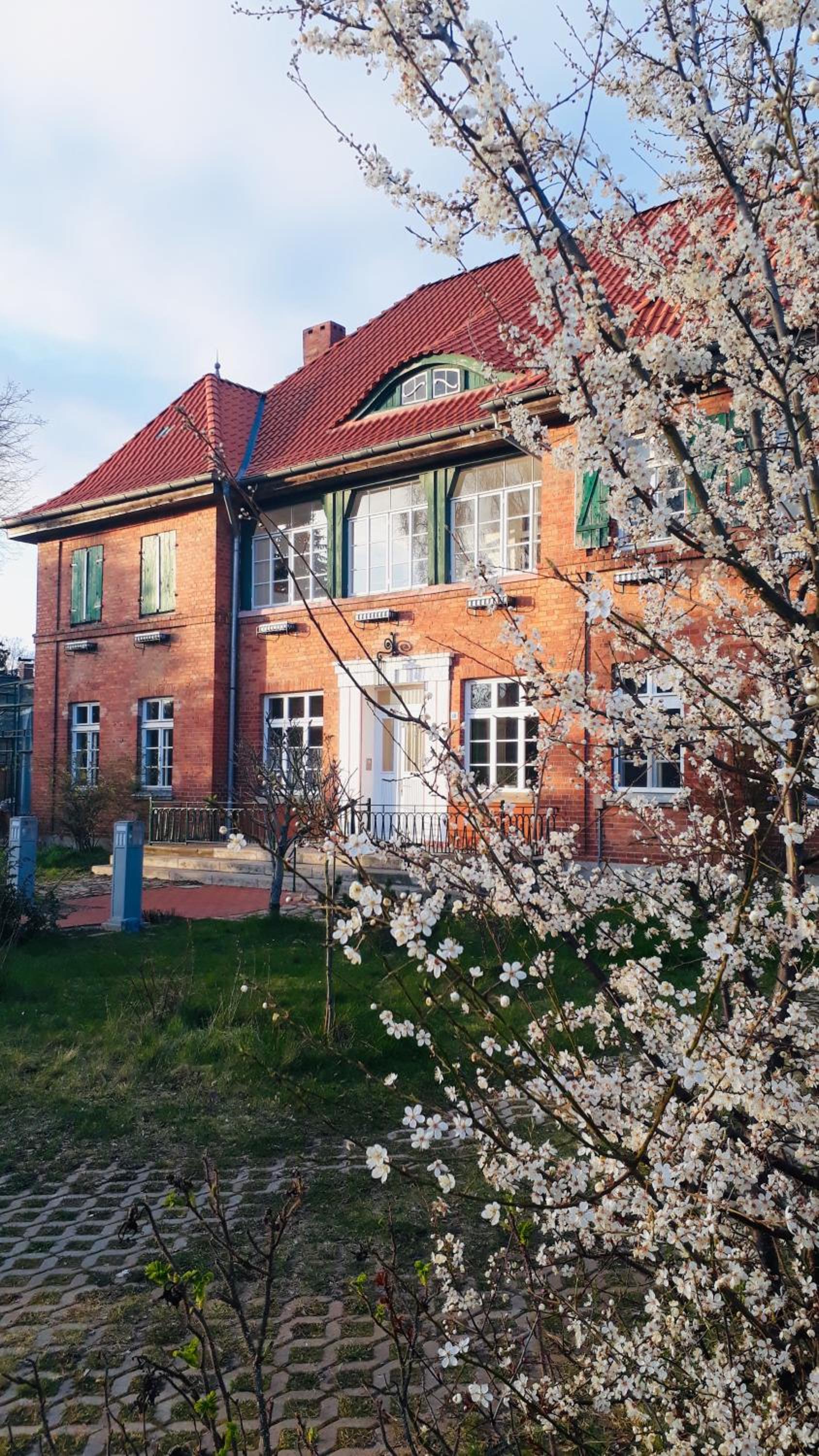 Photo 23