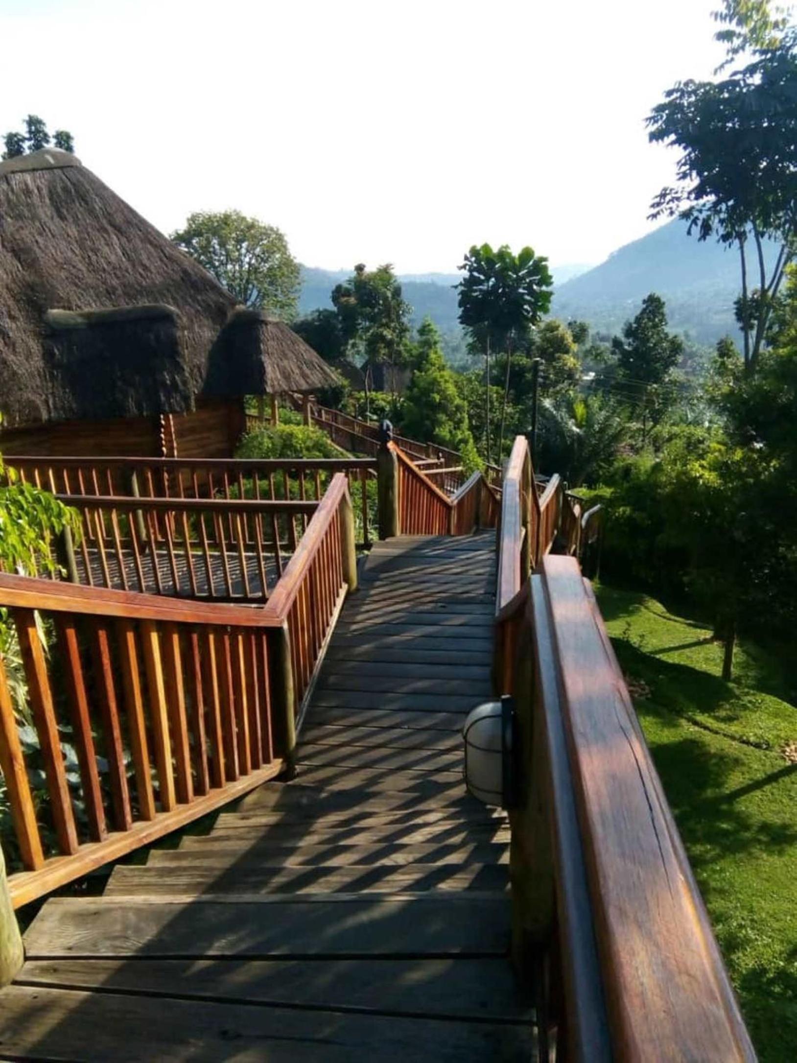 Trackers Safari Lodge Bwindi