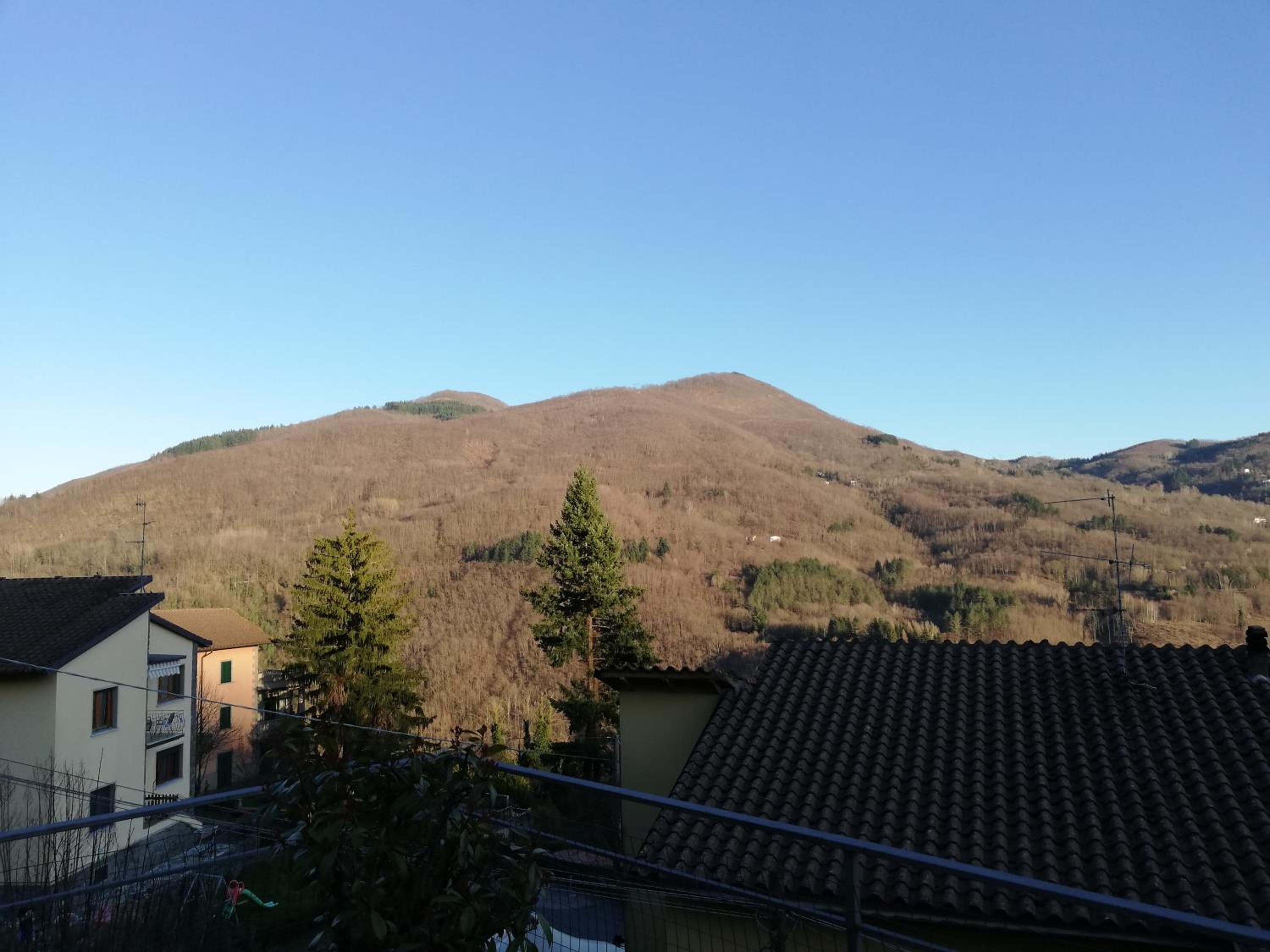 Photo 22
