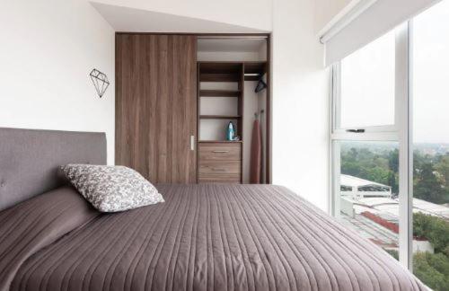 San Angel Luxury apartment 2BR 2BA 1Parking photo 2