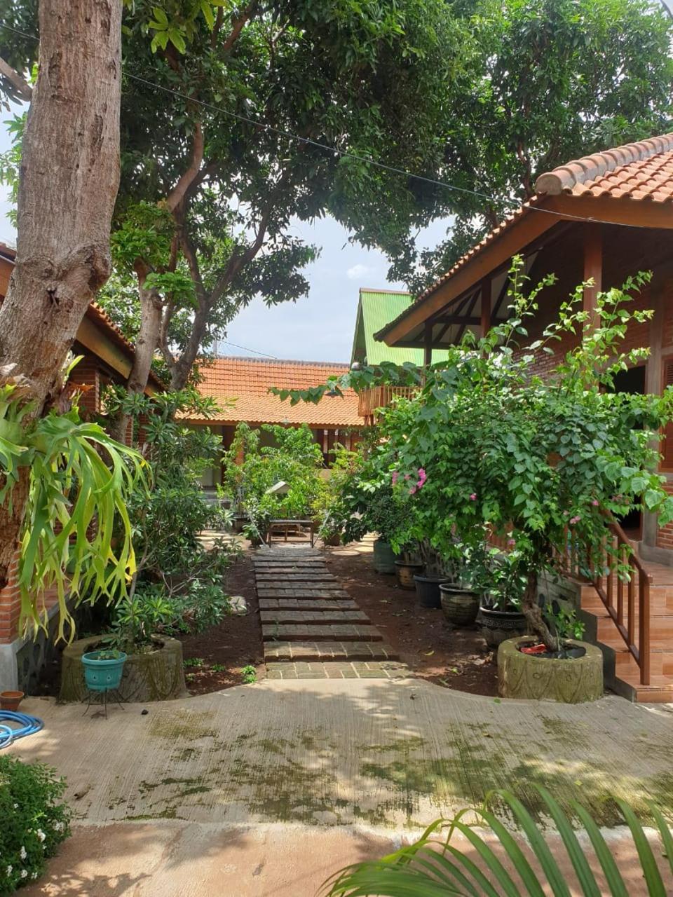 Photo 6