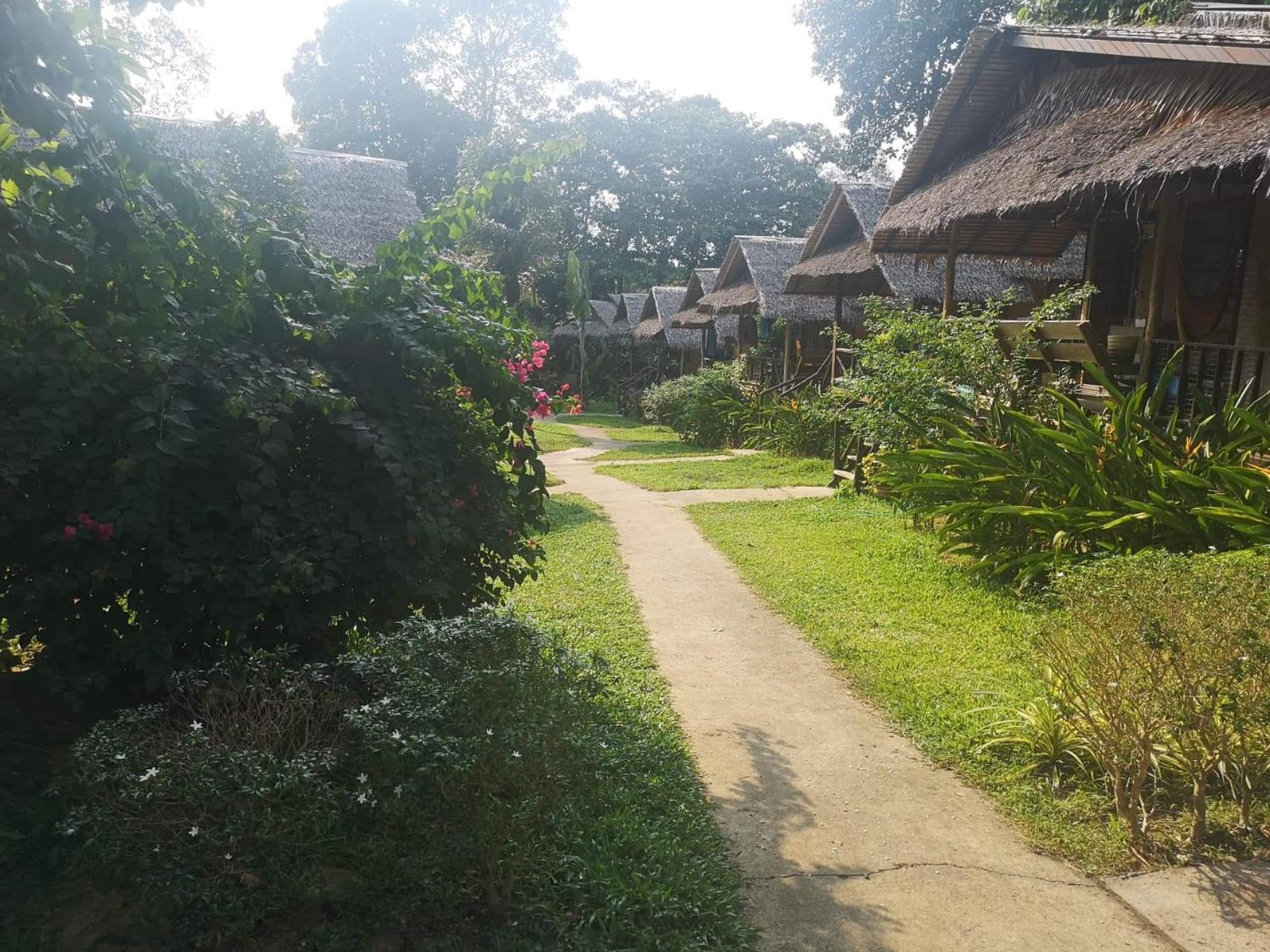 Jungle Garden