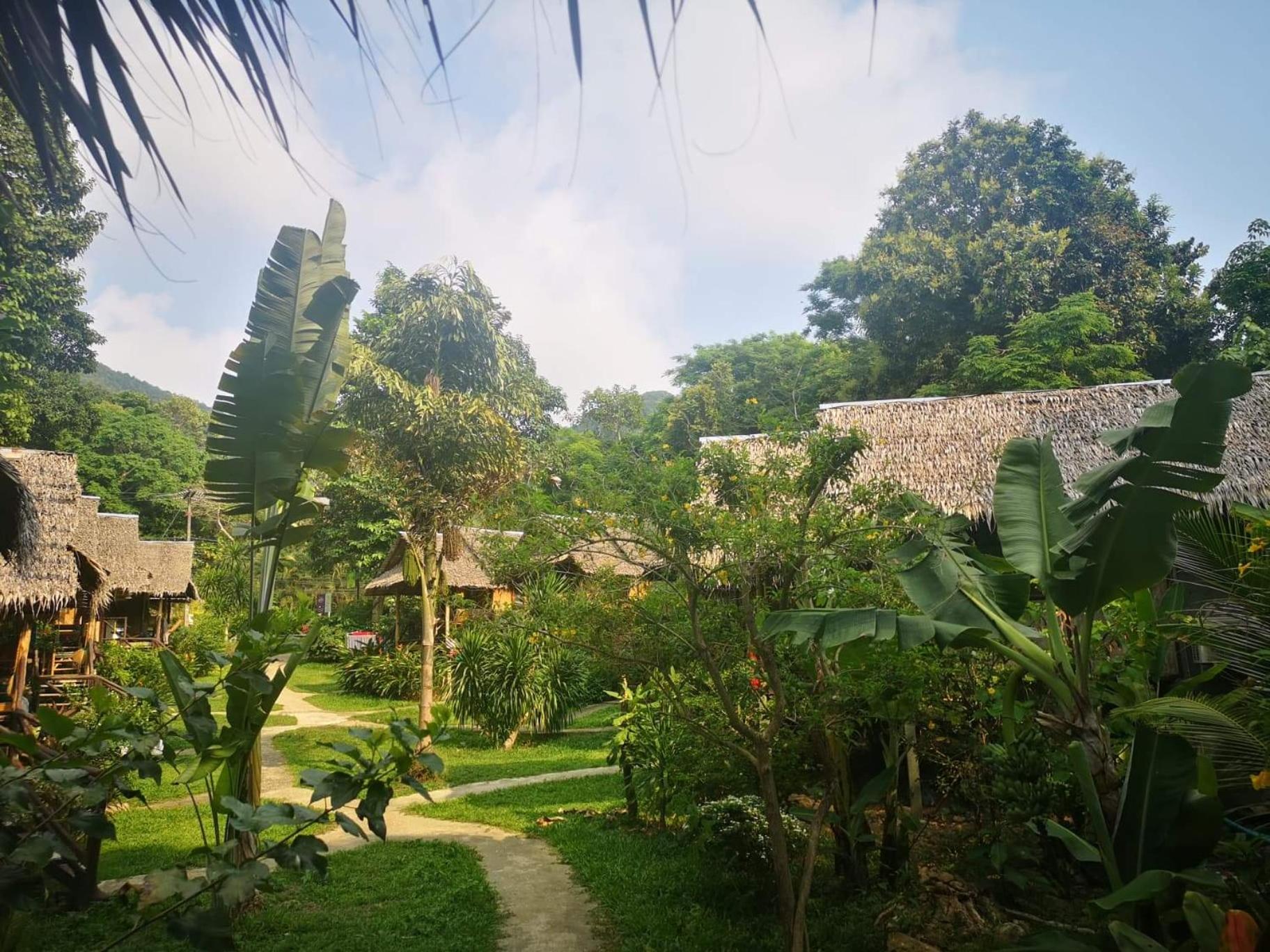 Jungle Garden