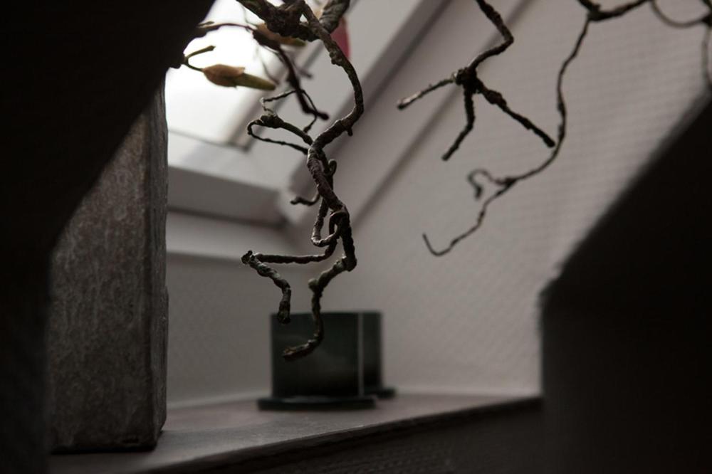 Photo 44