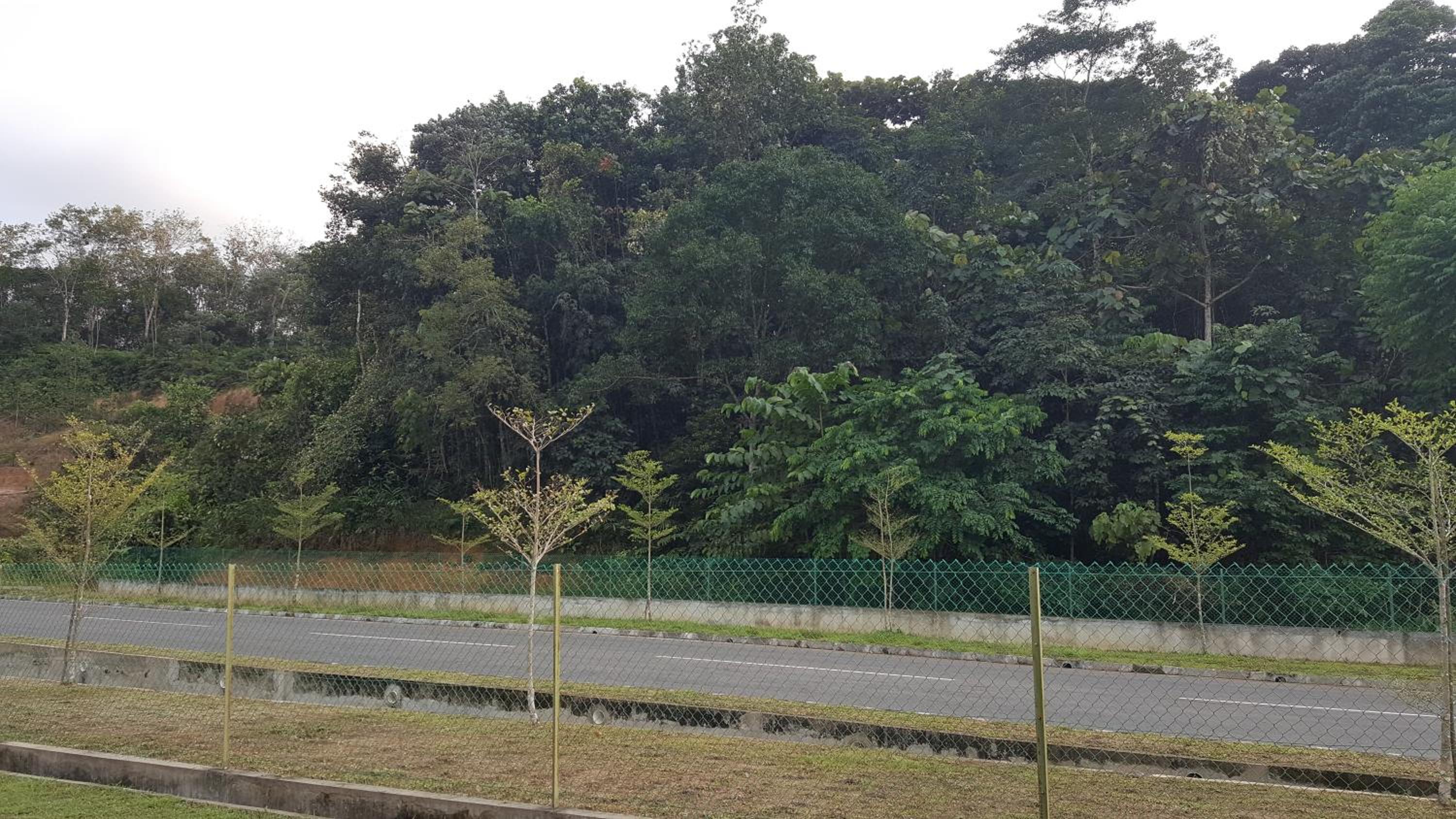 Seri Jati Homestay photo 2
