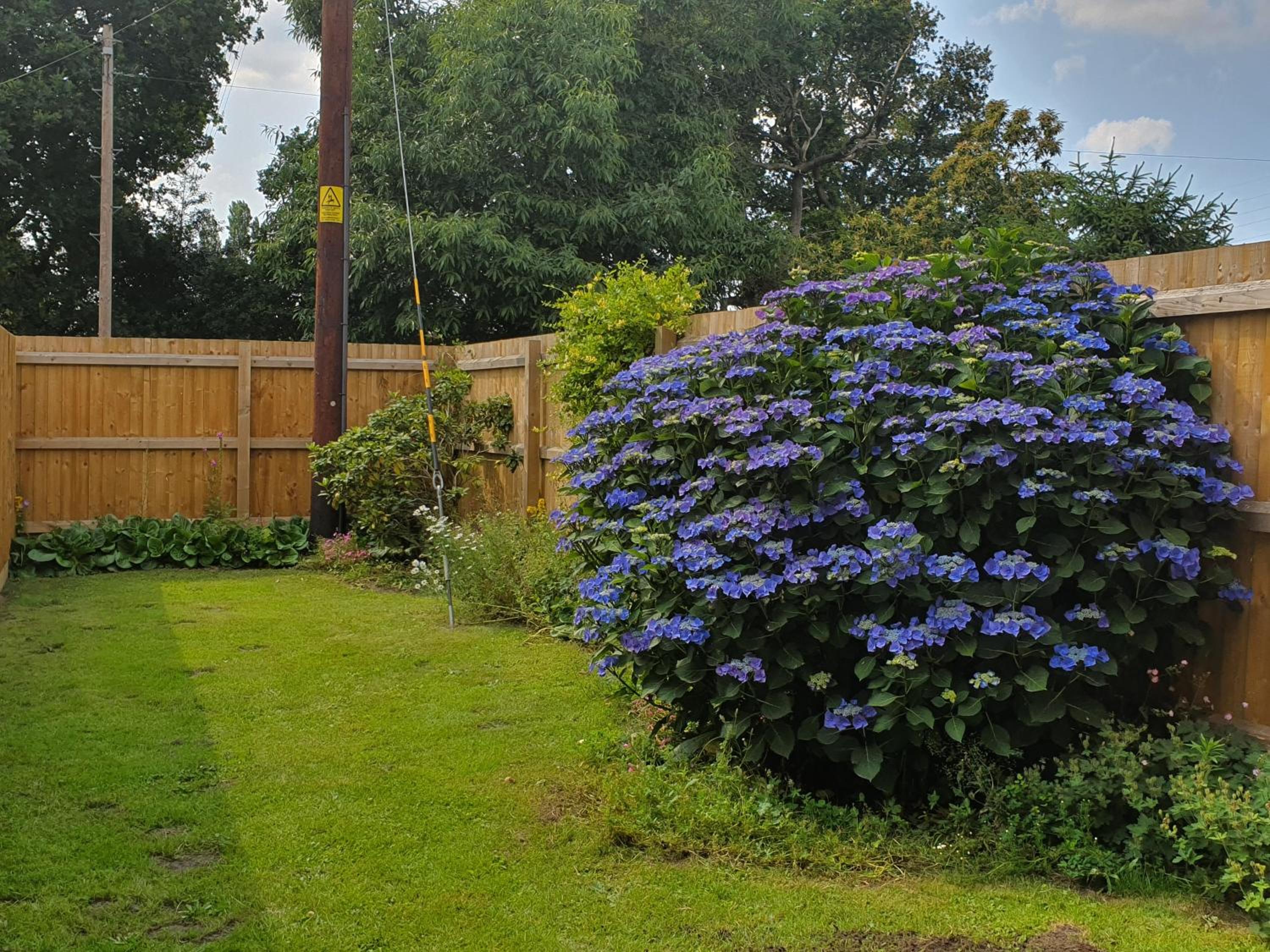 Photo 44