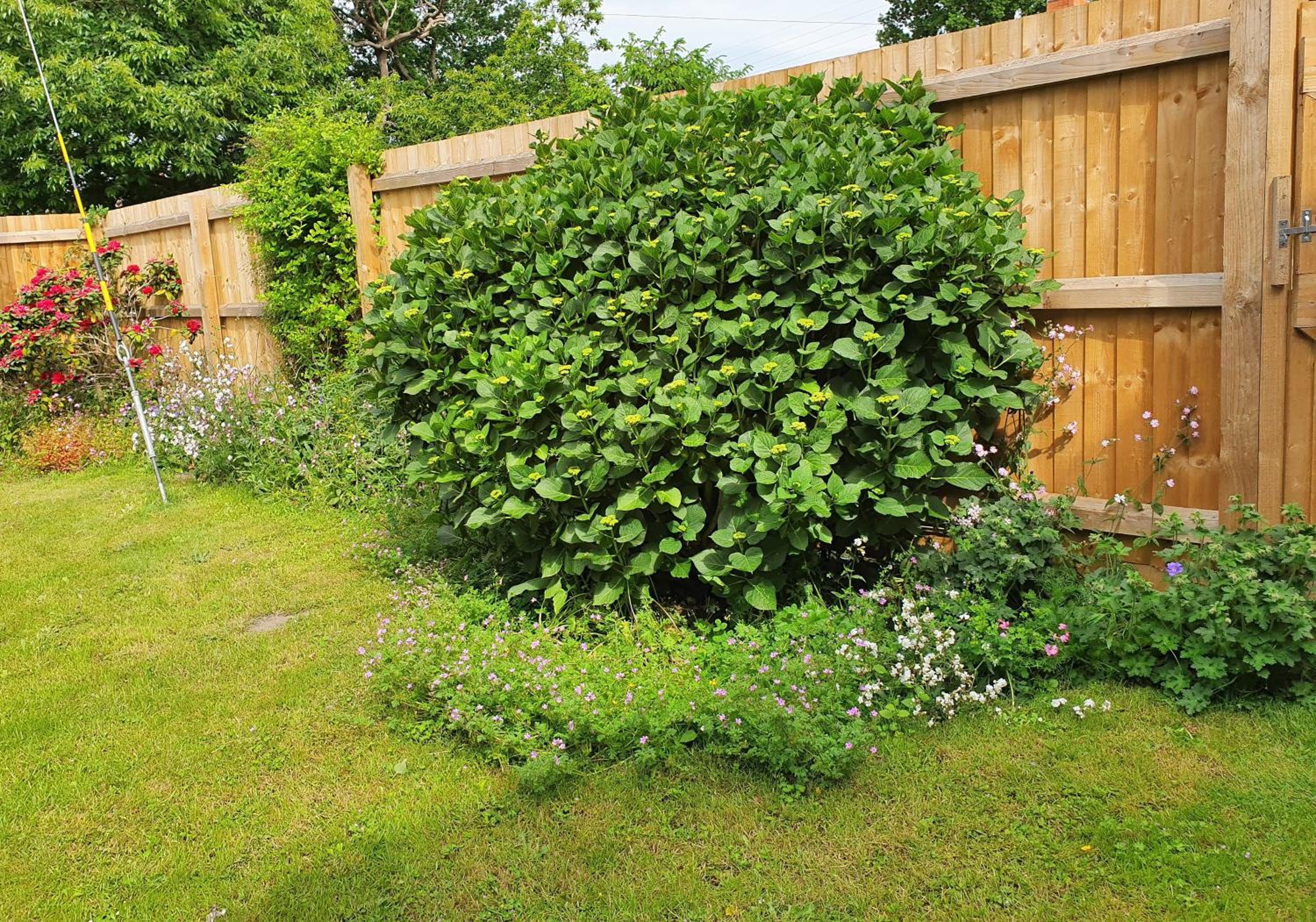 Photo 43