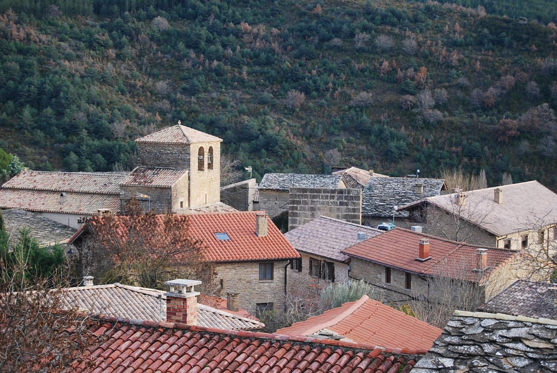 Photo 40