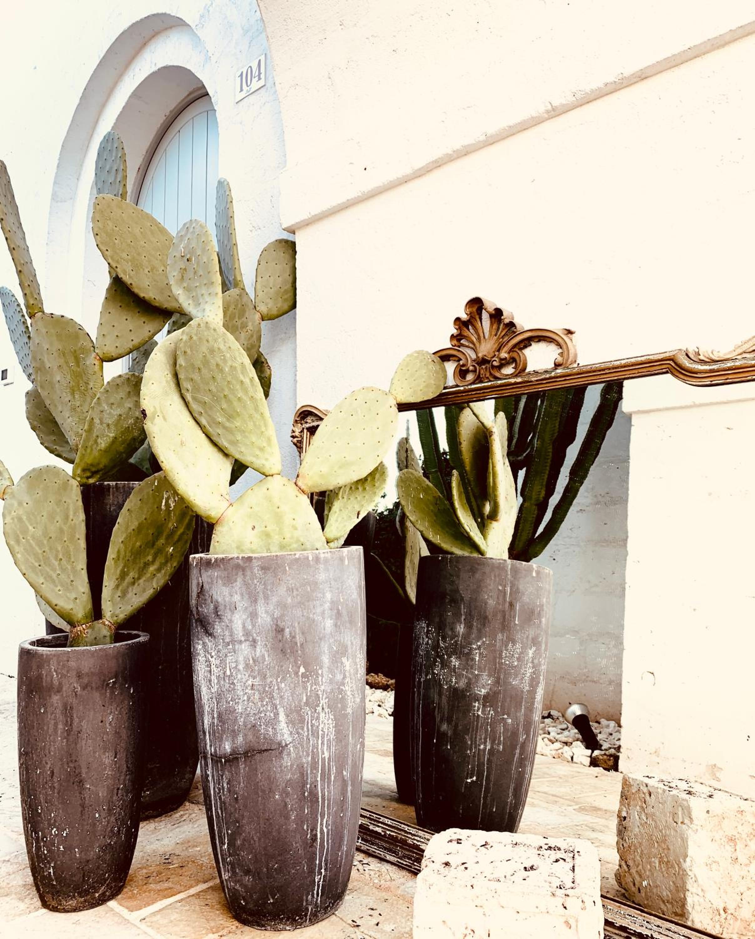 Masseria San Francesco