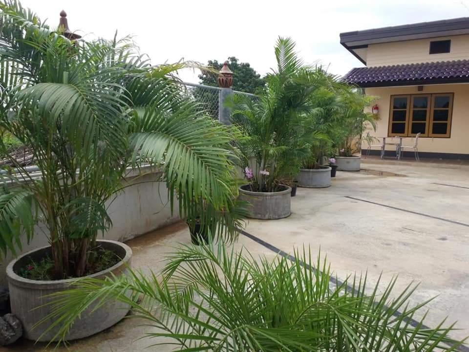 Yotin Guest House