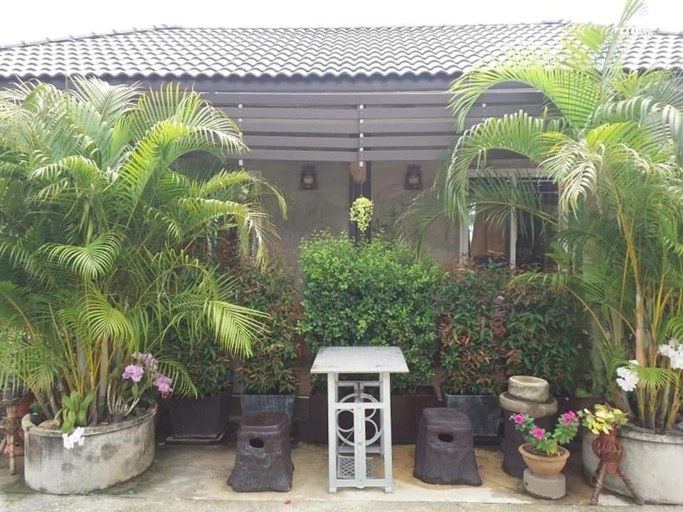 Yotin Guest House