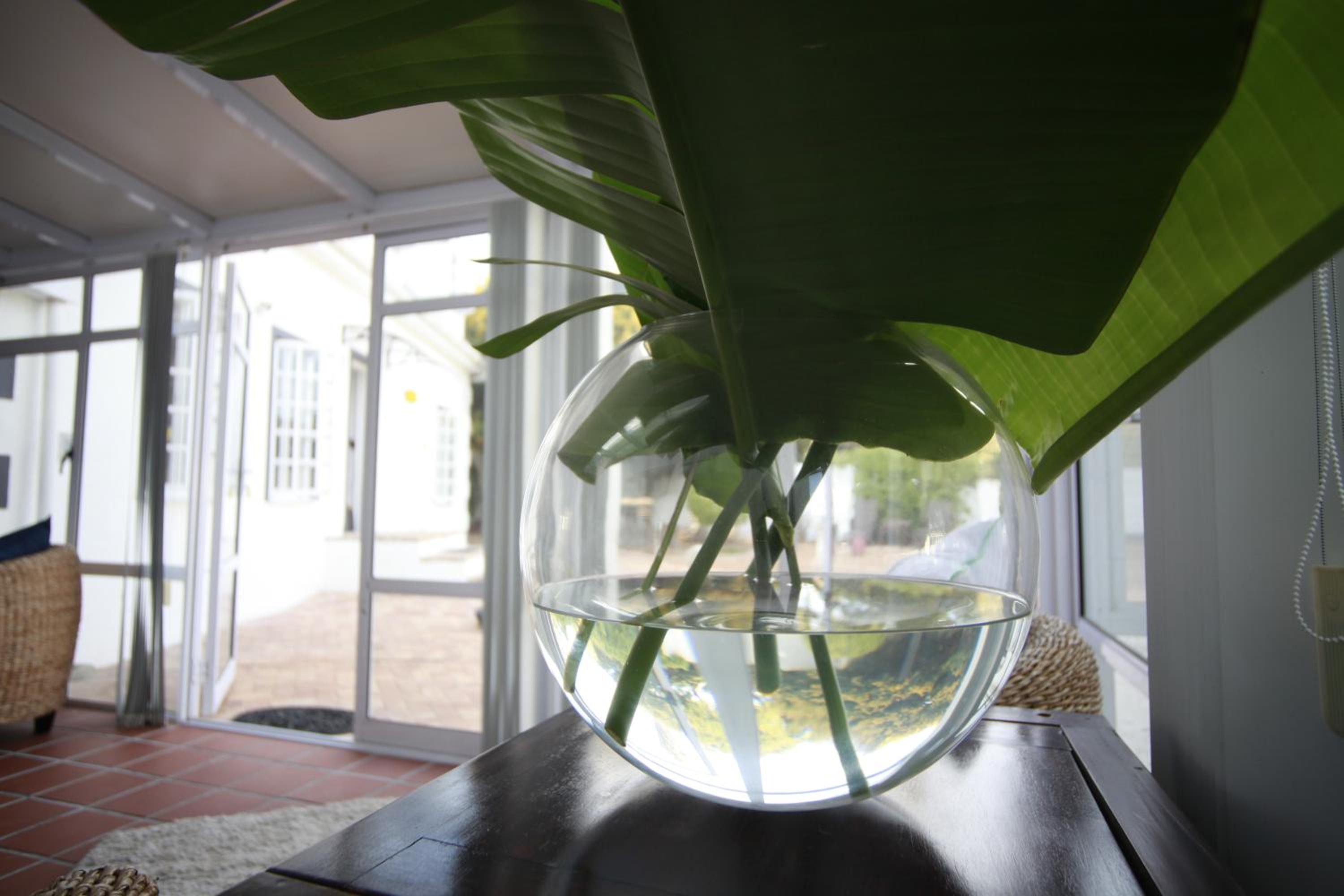 Cosimi Guest House view 5