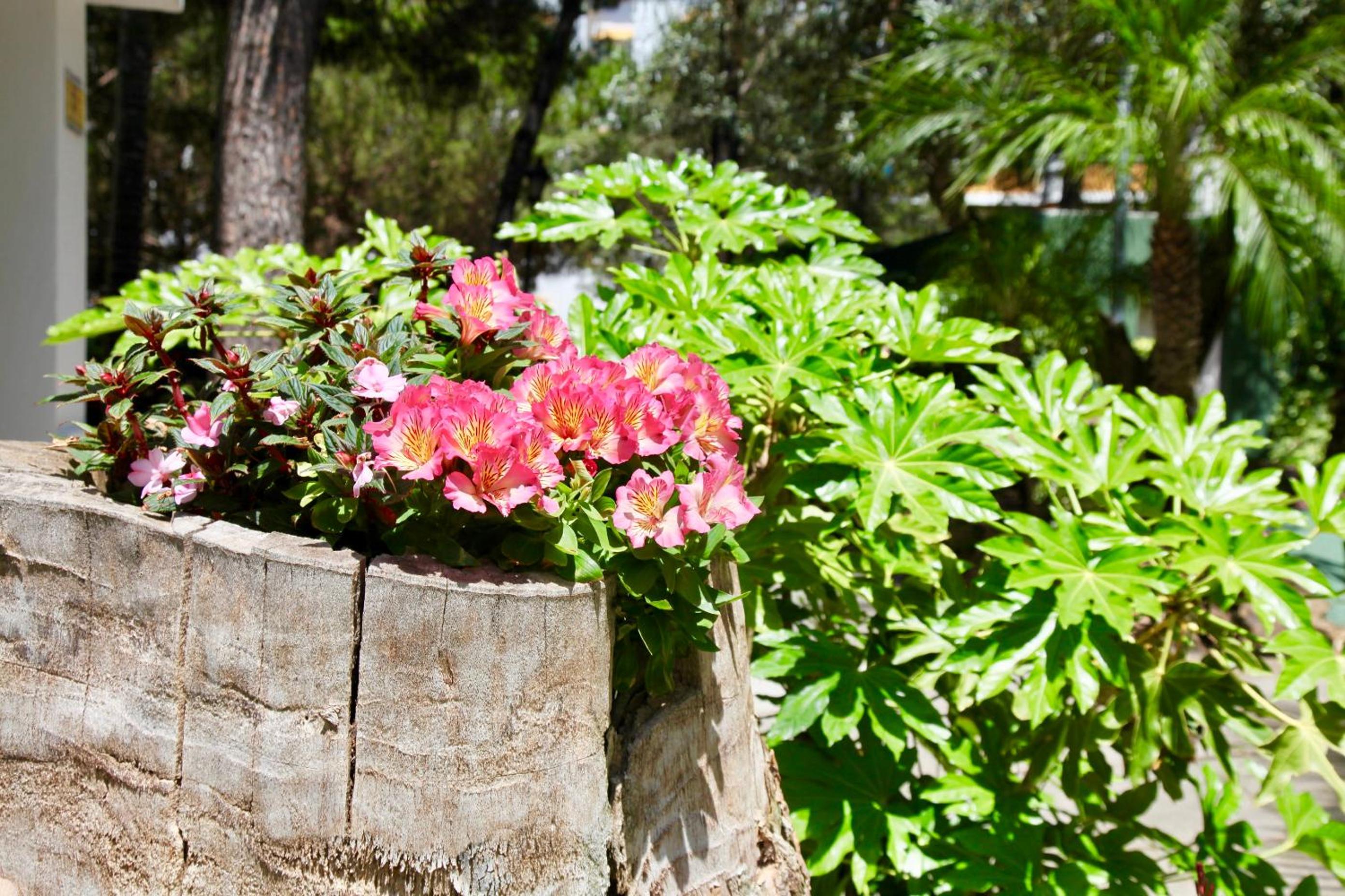 Top Apartment in Los Jardines de las Golondrinas