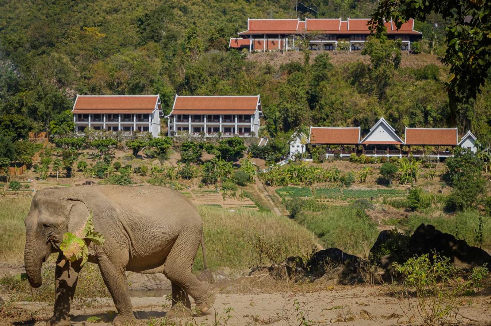 The Sanctuary Pakbeng Lodge