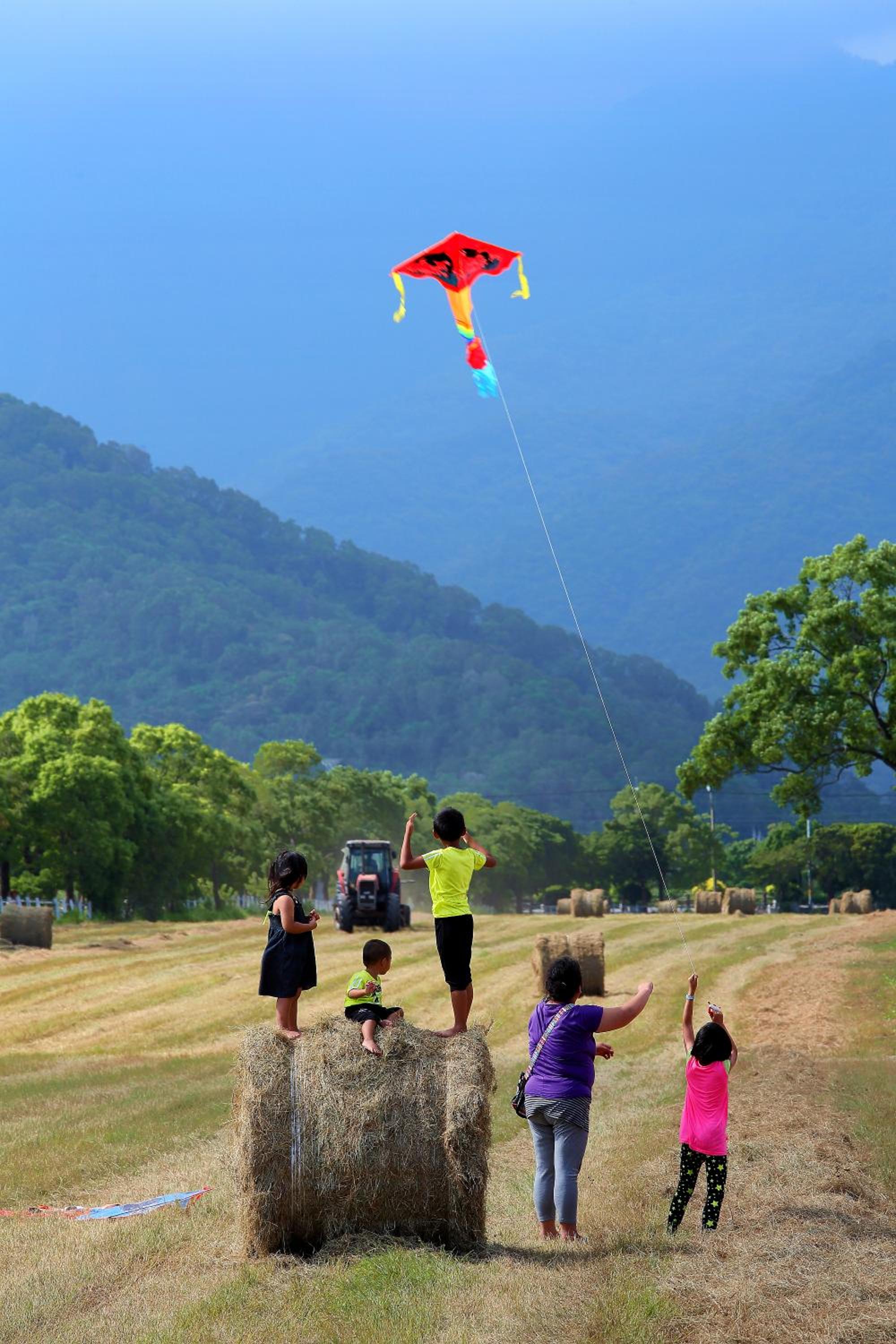 Chinshang Pastoral Farm Resort view 3