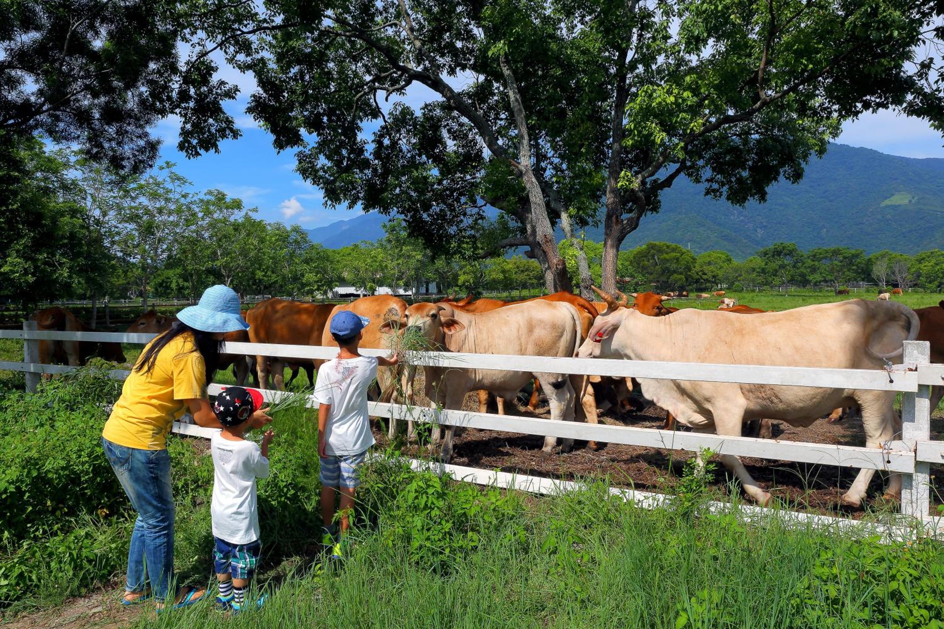 Chinshang Pastoral Farm Resort view 4