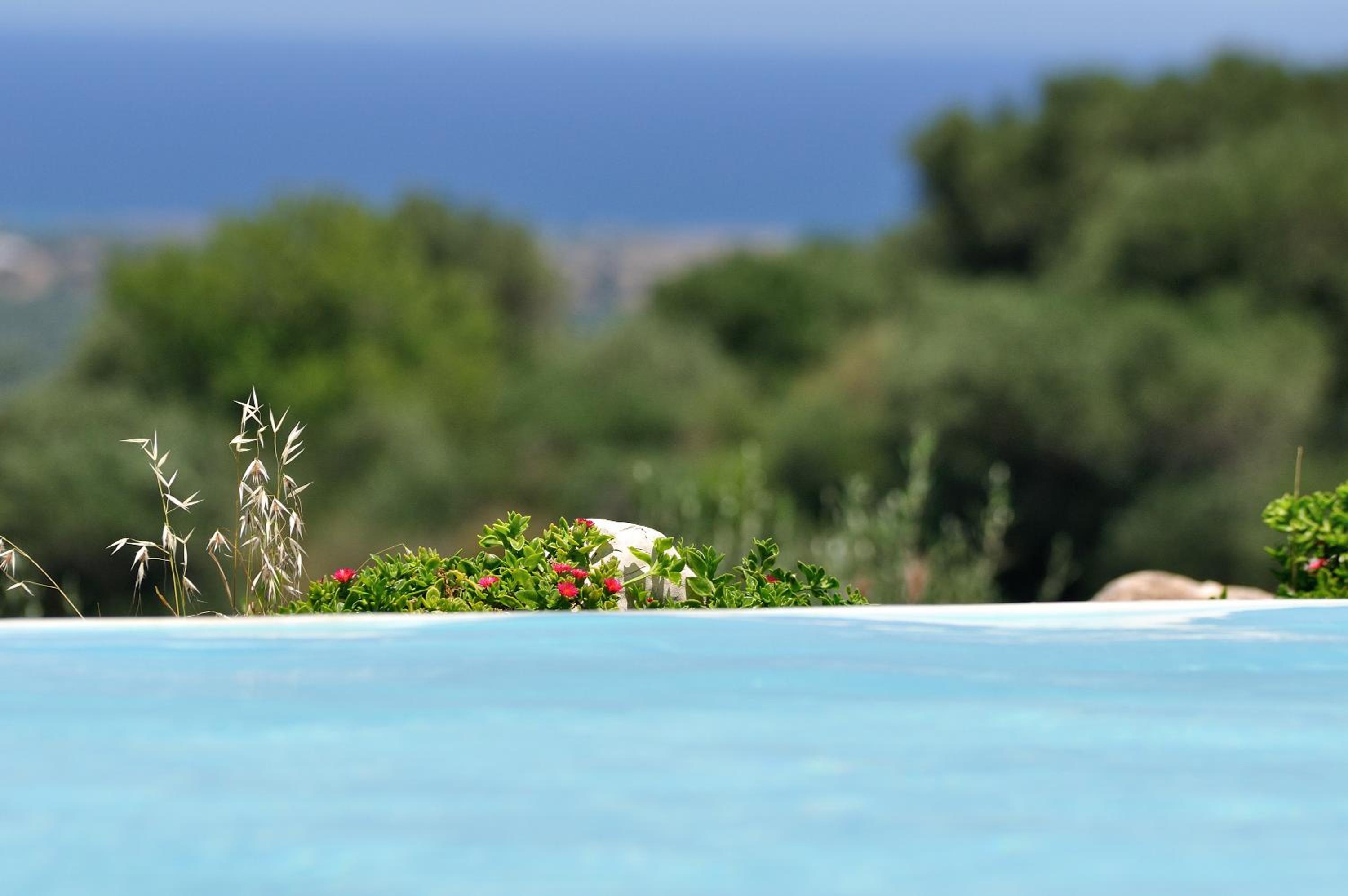 AGRITURISMO Masseria Spetterrata