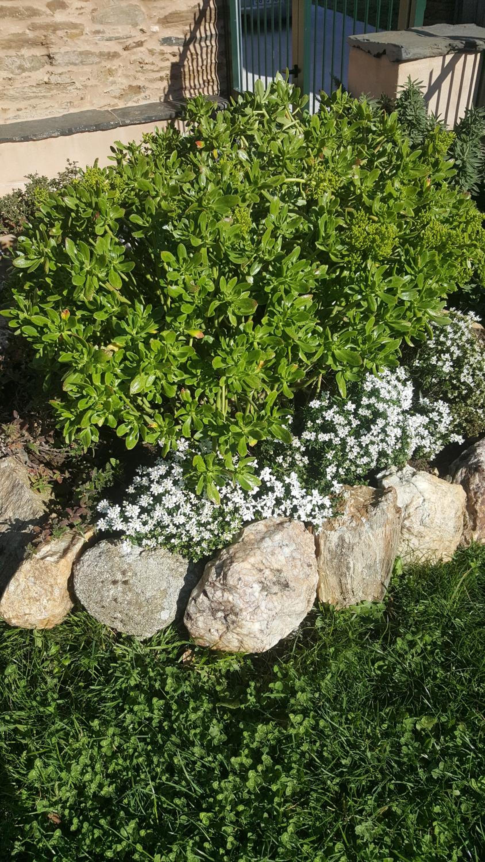 Photo 40