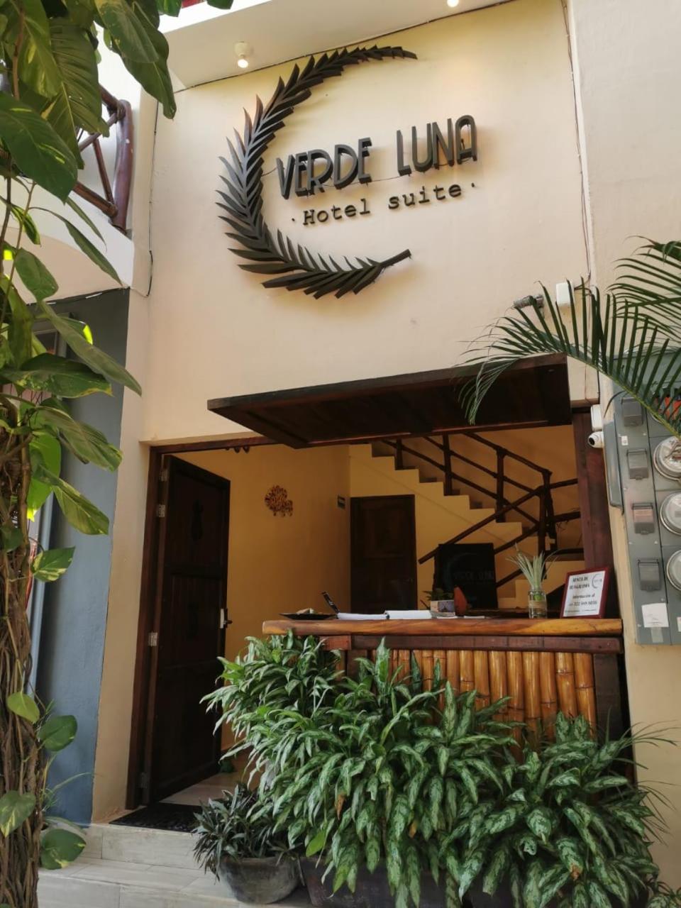 Verde Luna view 3