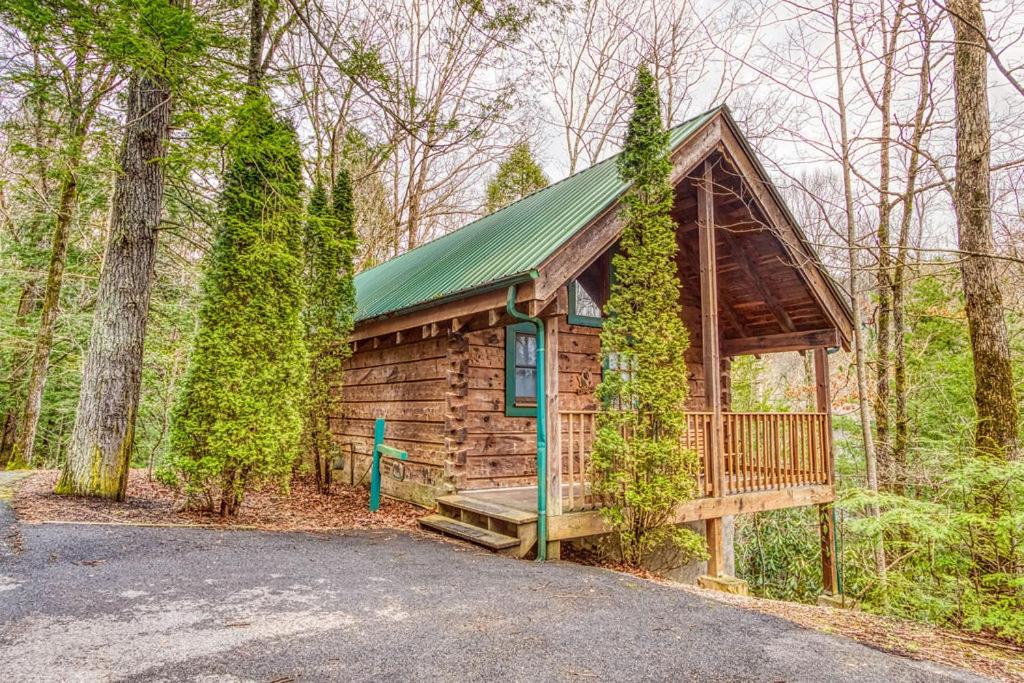 Mountain Eden, Hot Tub, Resort Pool, WIFI, 560 FREE tickets each paid day!!! view 3