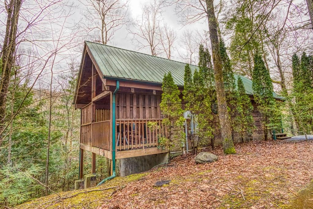 Mountain Eden, Hot Tub, Resort Pool, WIFI, 560 FREE tickets each paid day!!! view 4