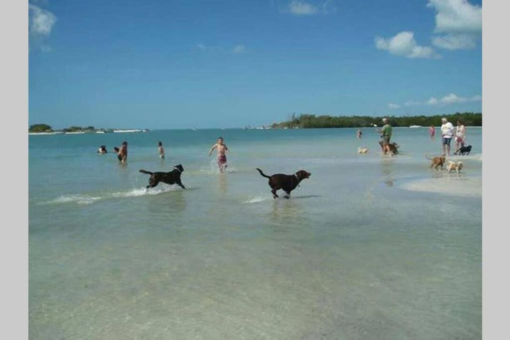 San Carlos Paradise!