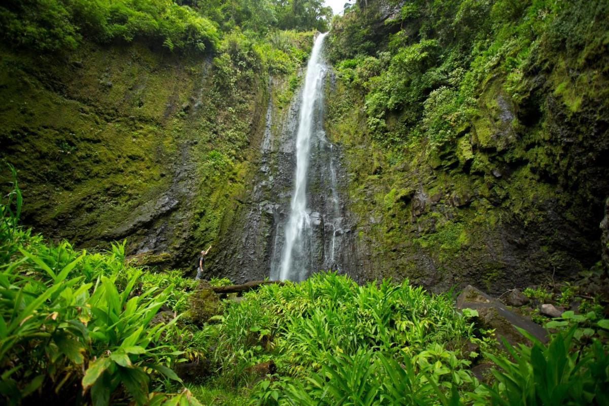 Hotel Aquiares Coffee Farm Casa Hacienda La Esperanza