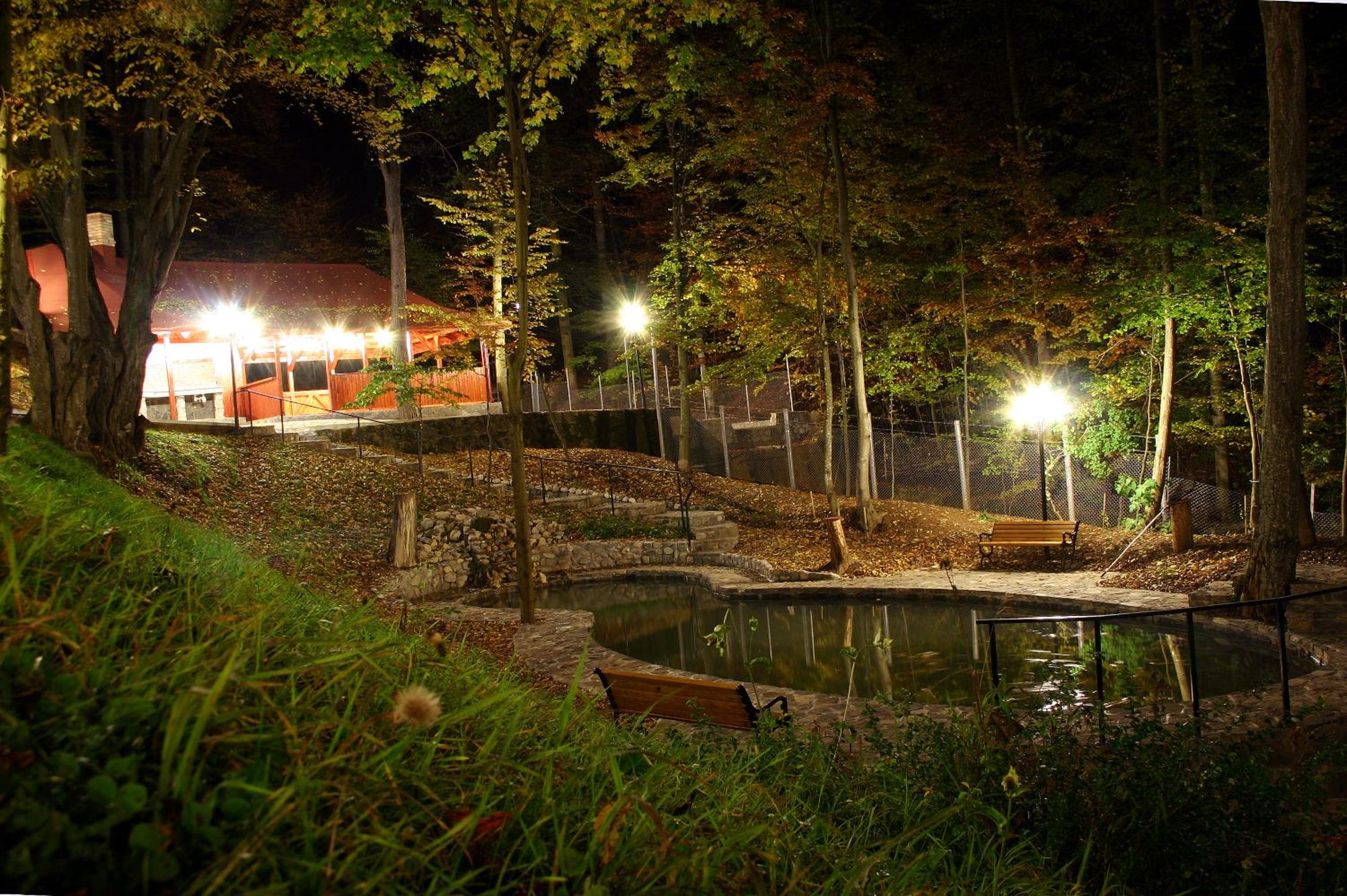 Photo 40