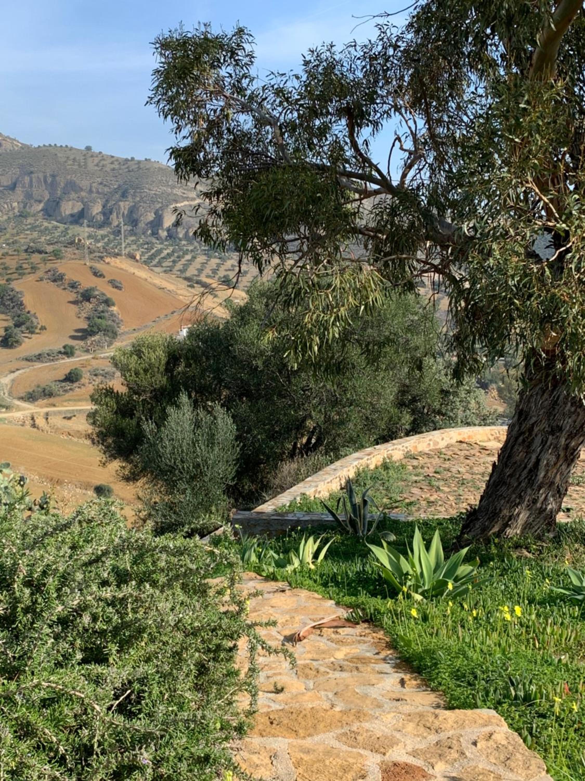 Casa Siri by Rosas Cantares photo 5