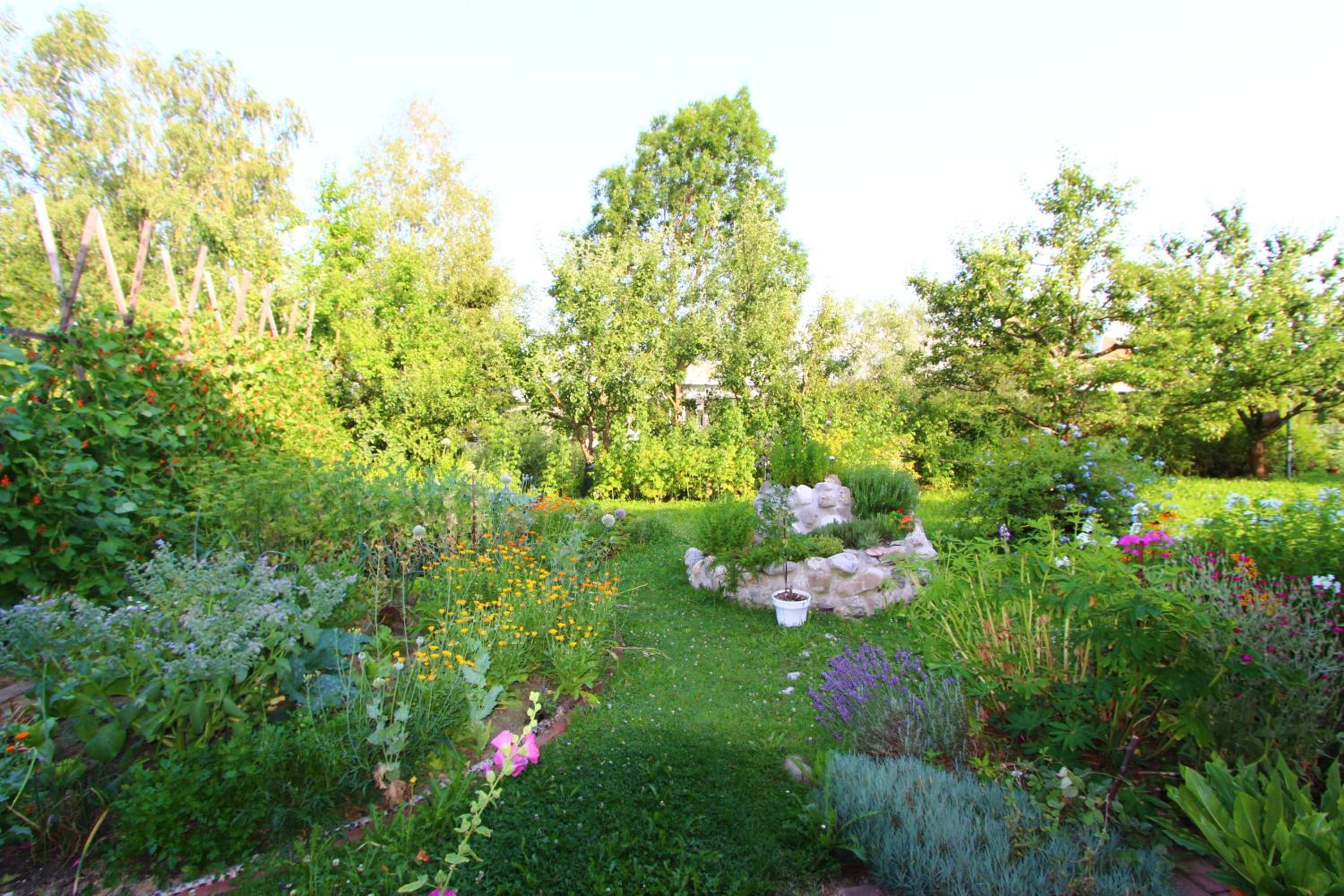 Photo 26