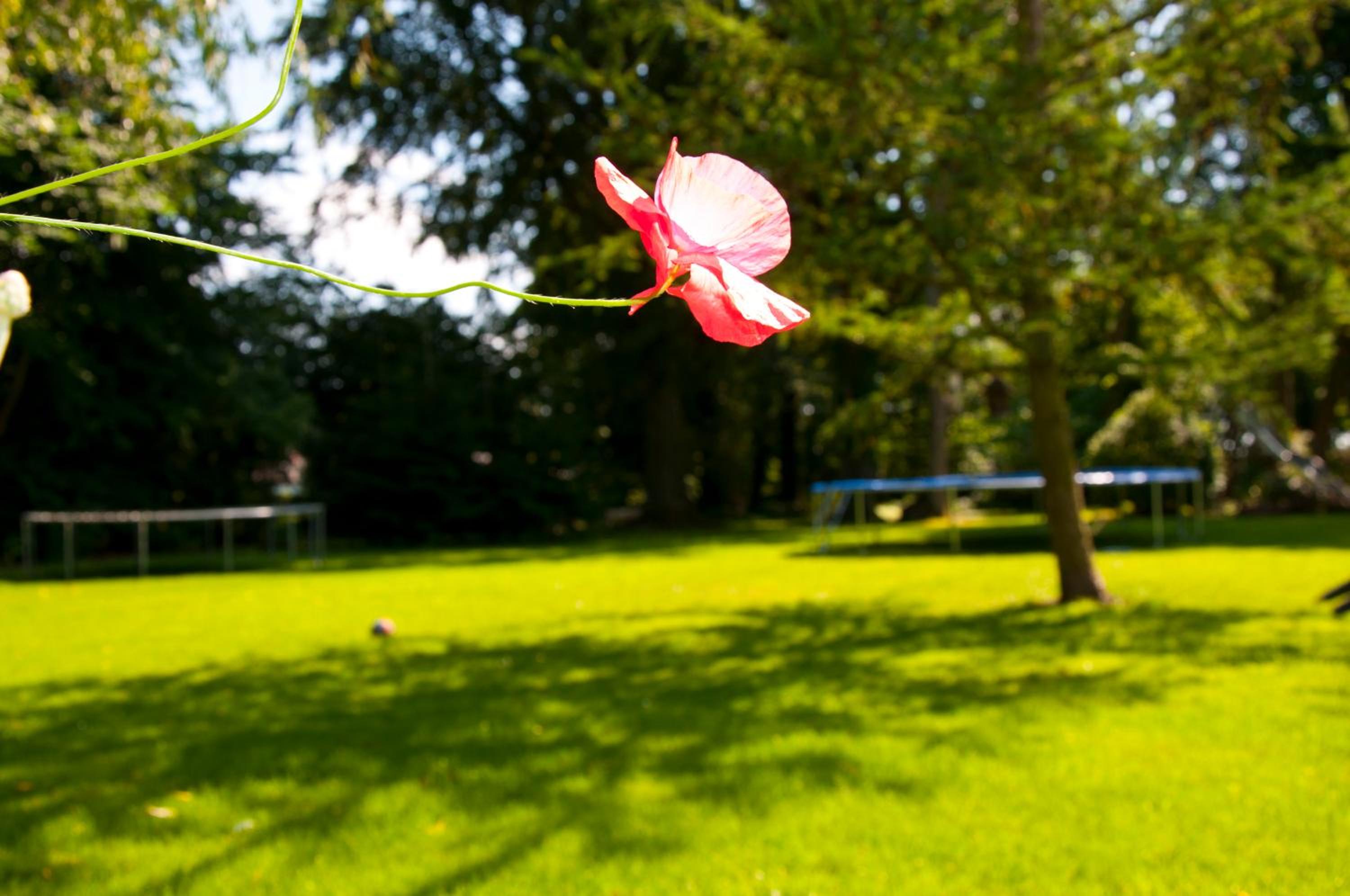 Photo 50