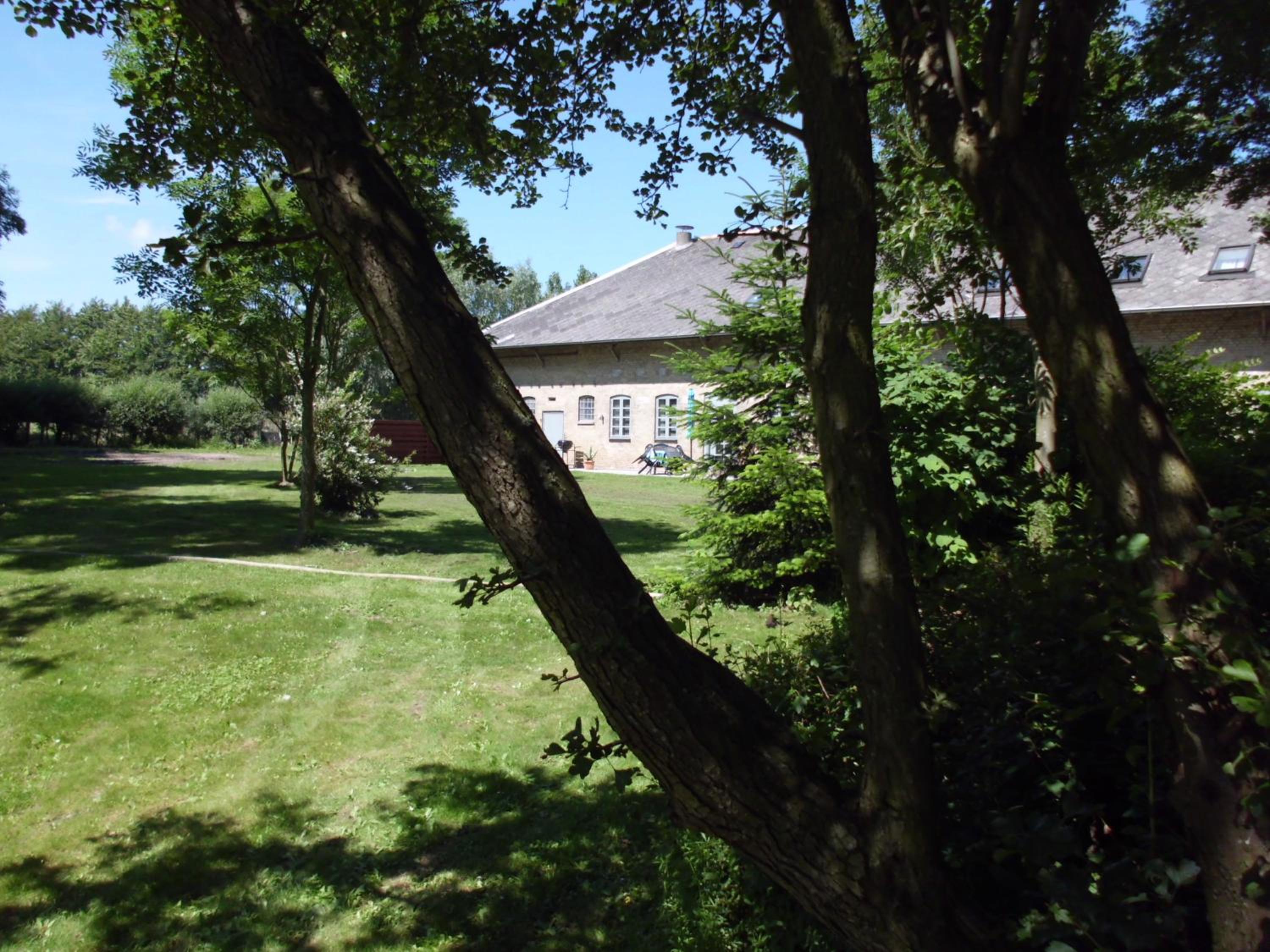 Photo 44