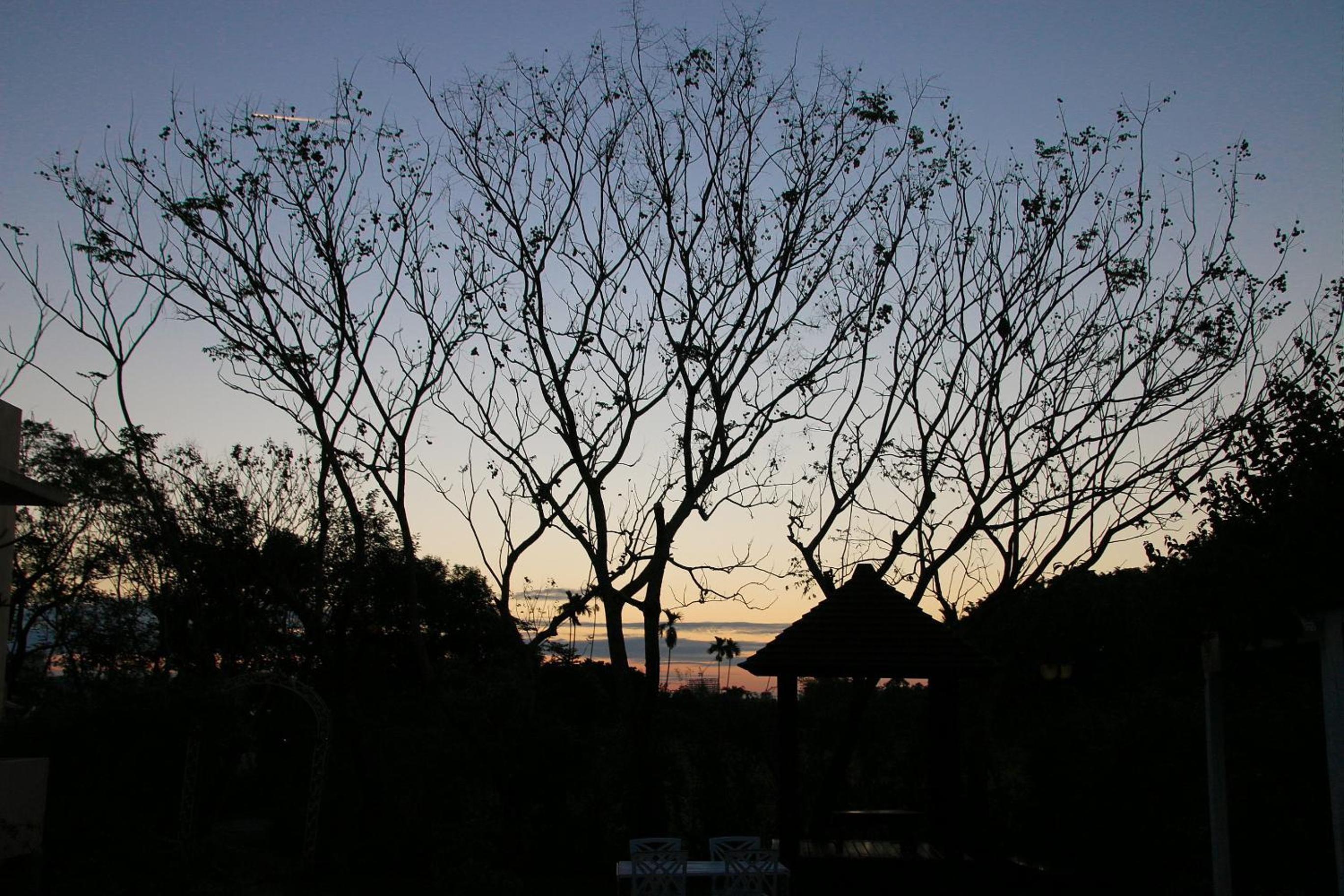 Photo 43