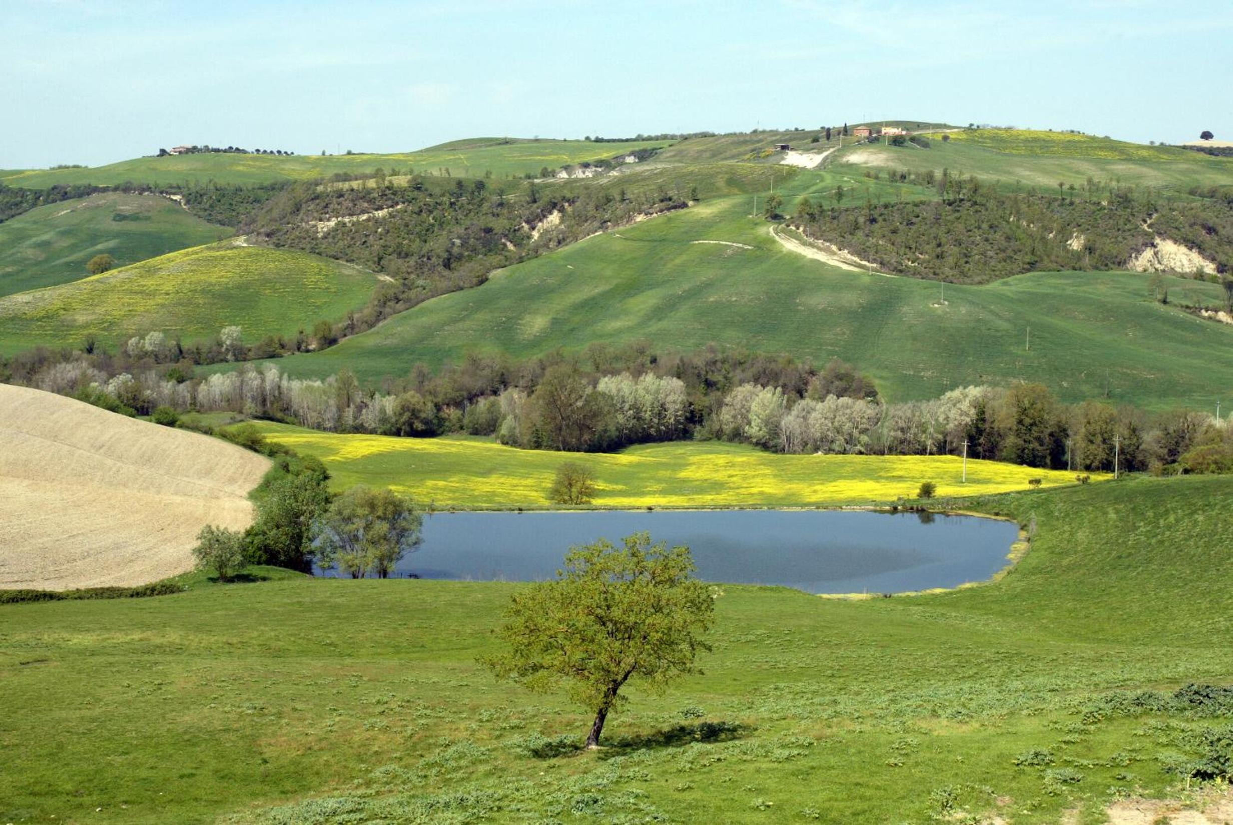 Agriturismo Vergelle