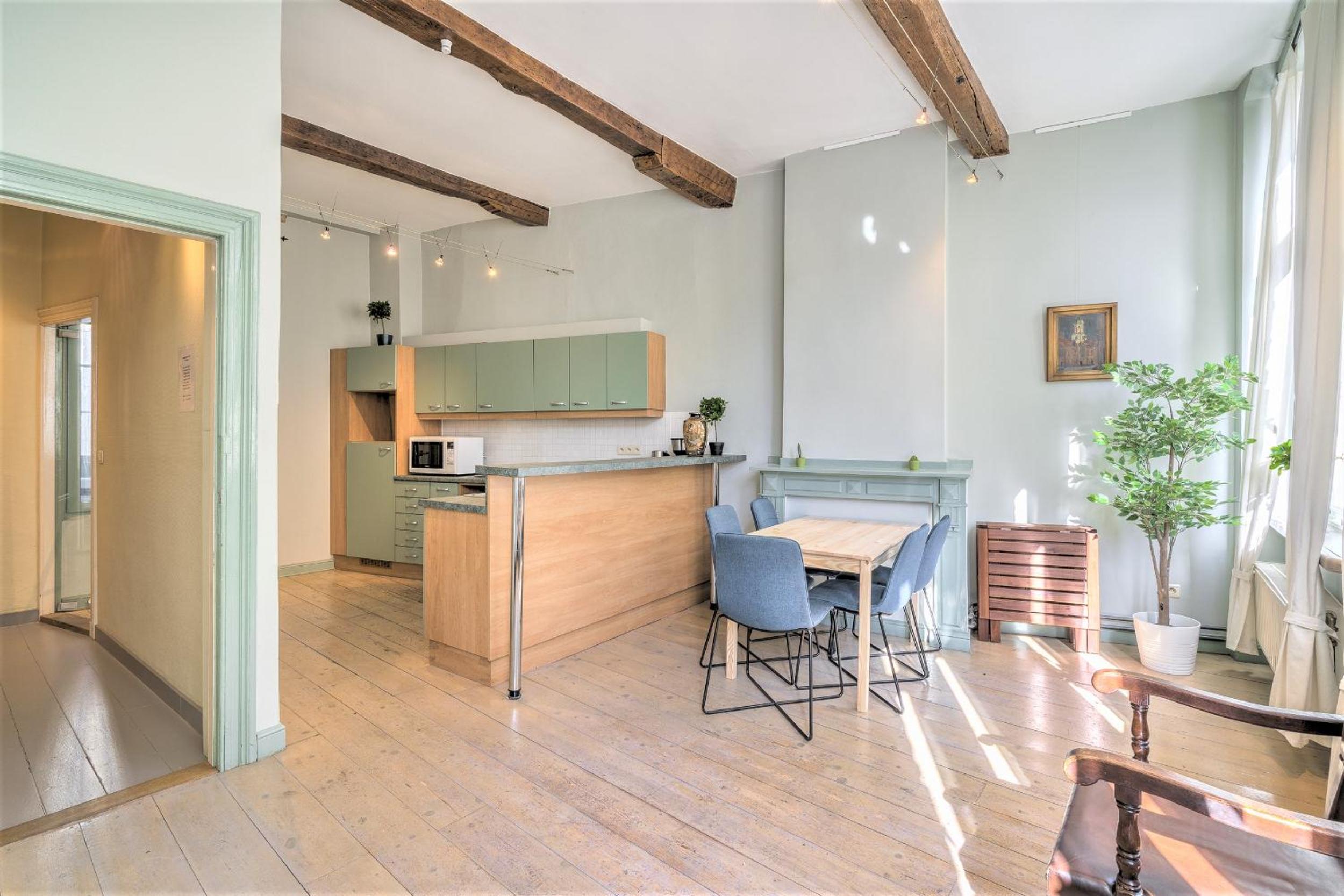 Spacious Duplex in Antwerp Old Town view 2