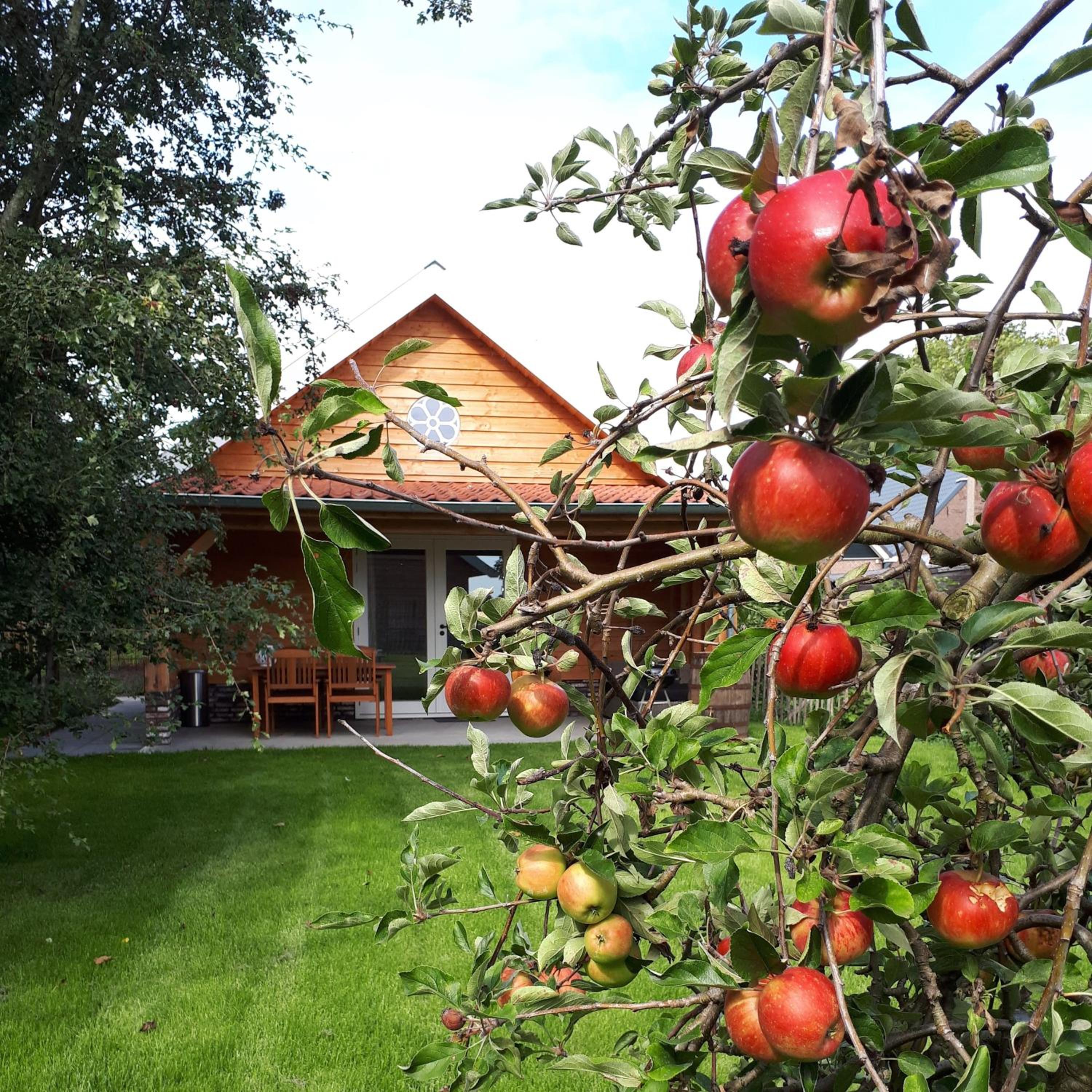 Lodges near the Rhine - Sustainable Residence