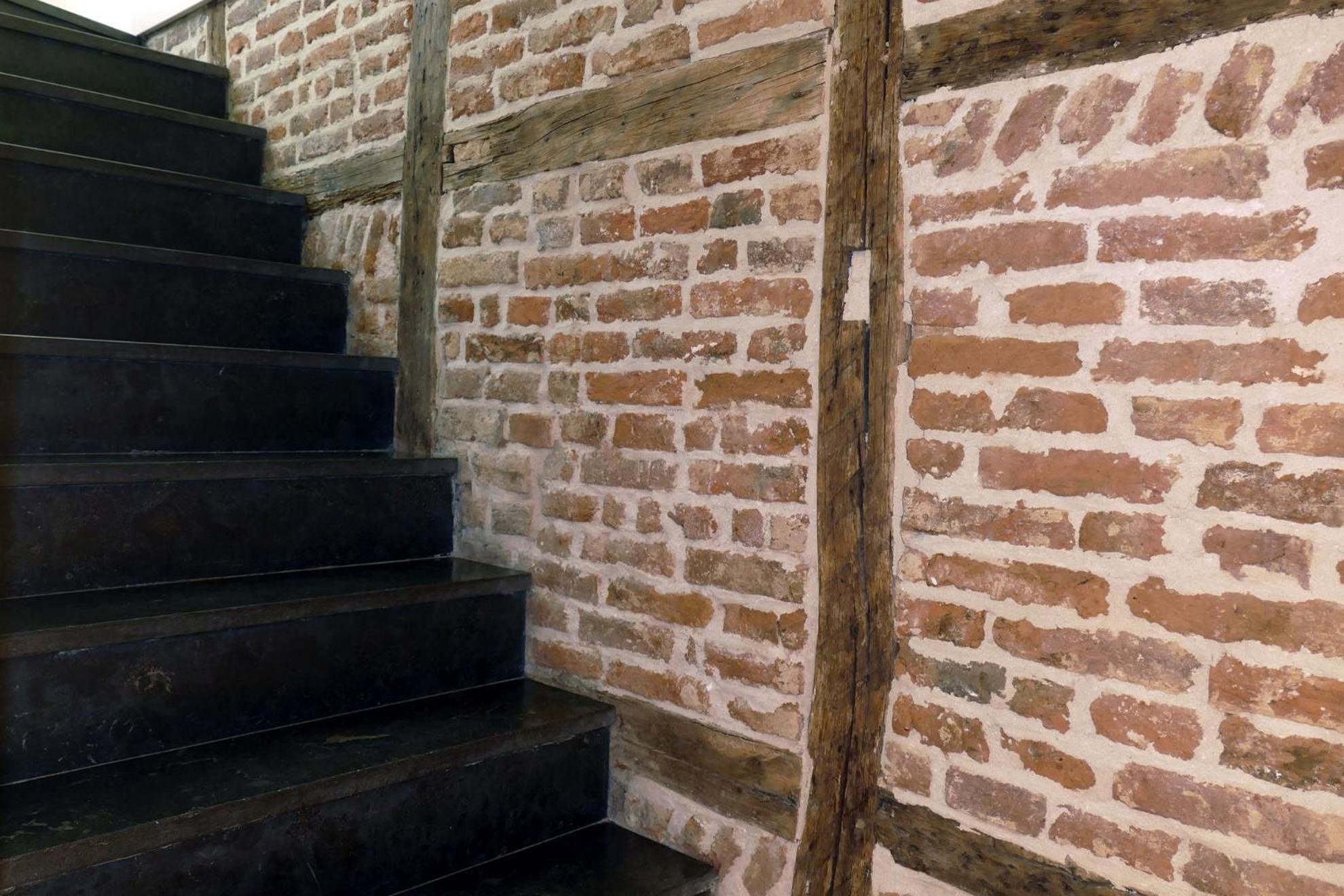 Photo 41